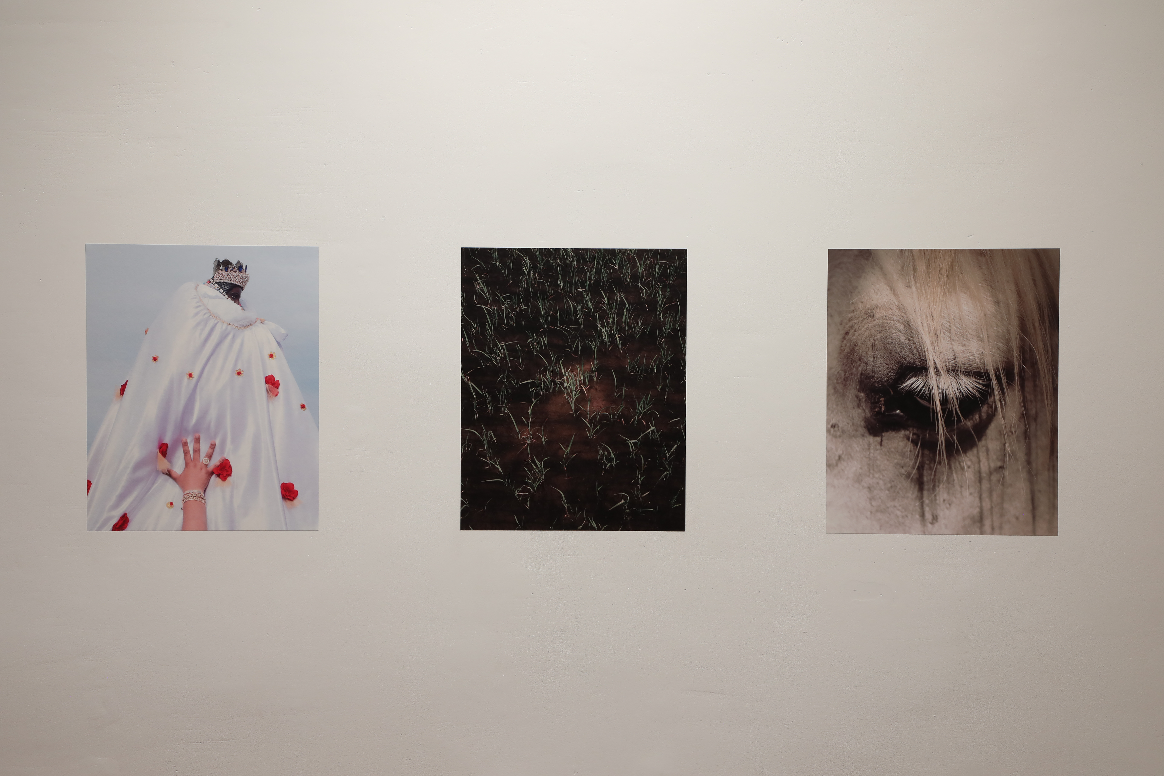 Mathias Benguigui, Delta Bleu.