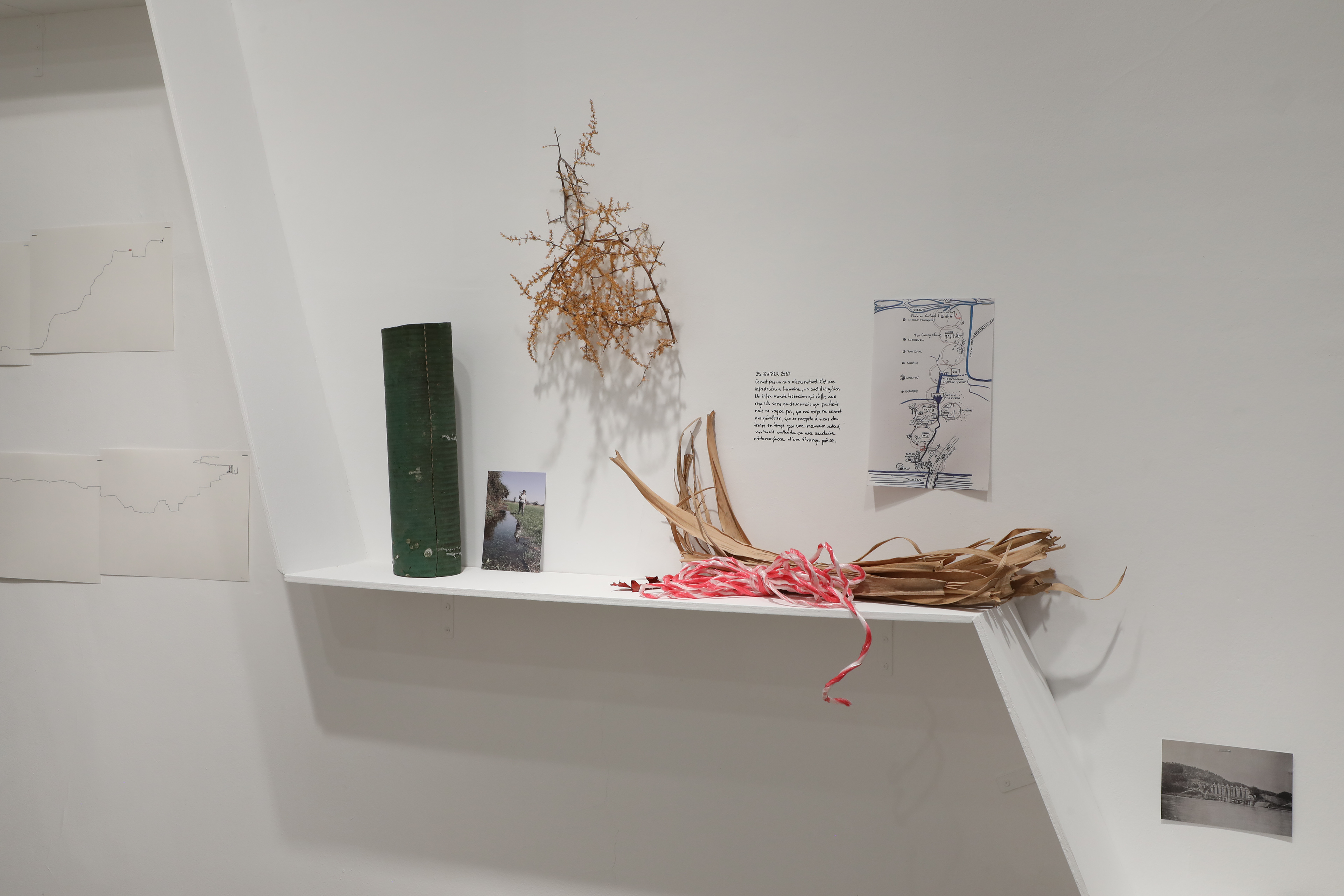 Le sens de l'orientation, Elizabeth Guyon.