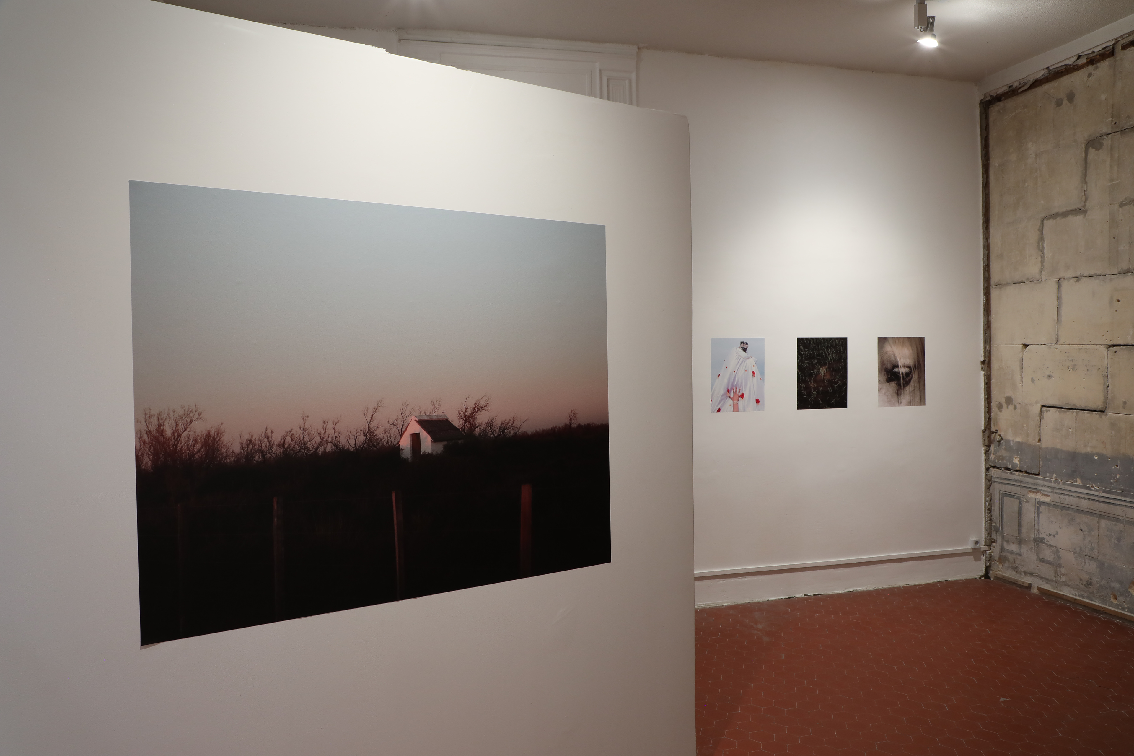 Mathias Benguigui, Delta Bleu.