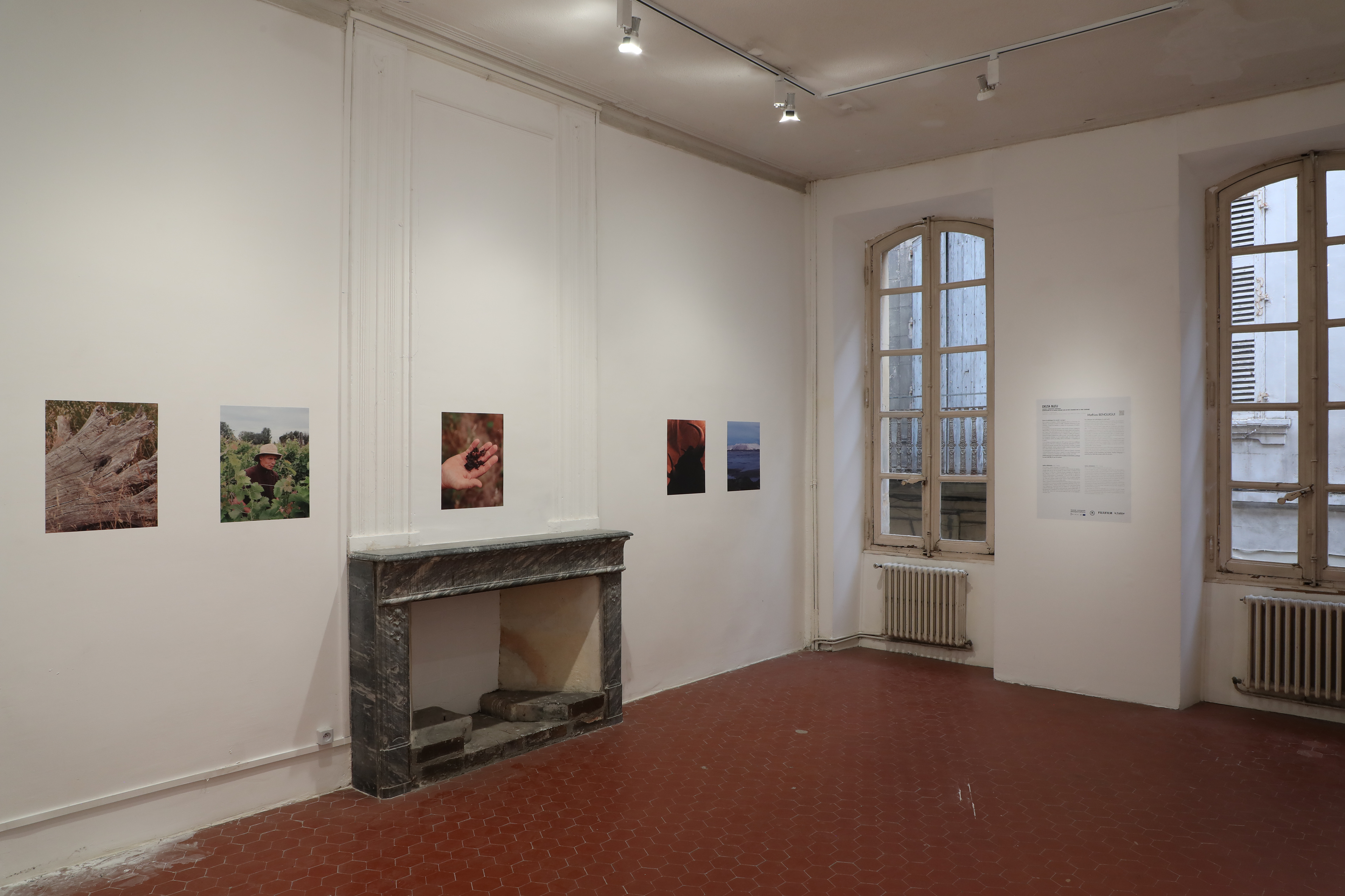 Mathias Benguigui, Delta Bleu.