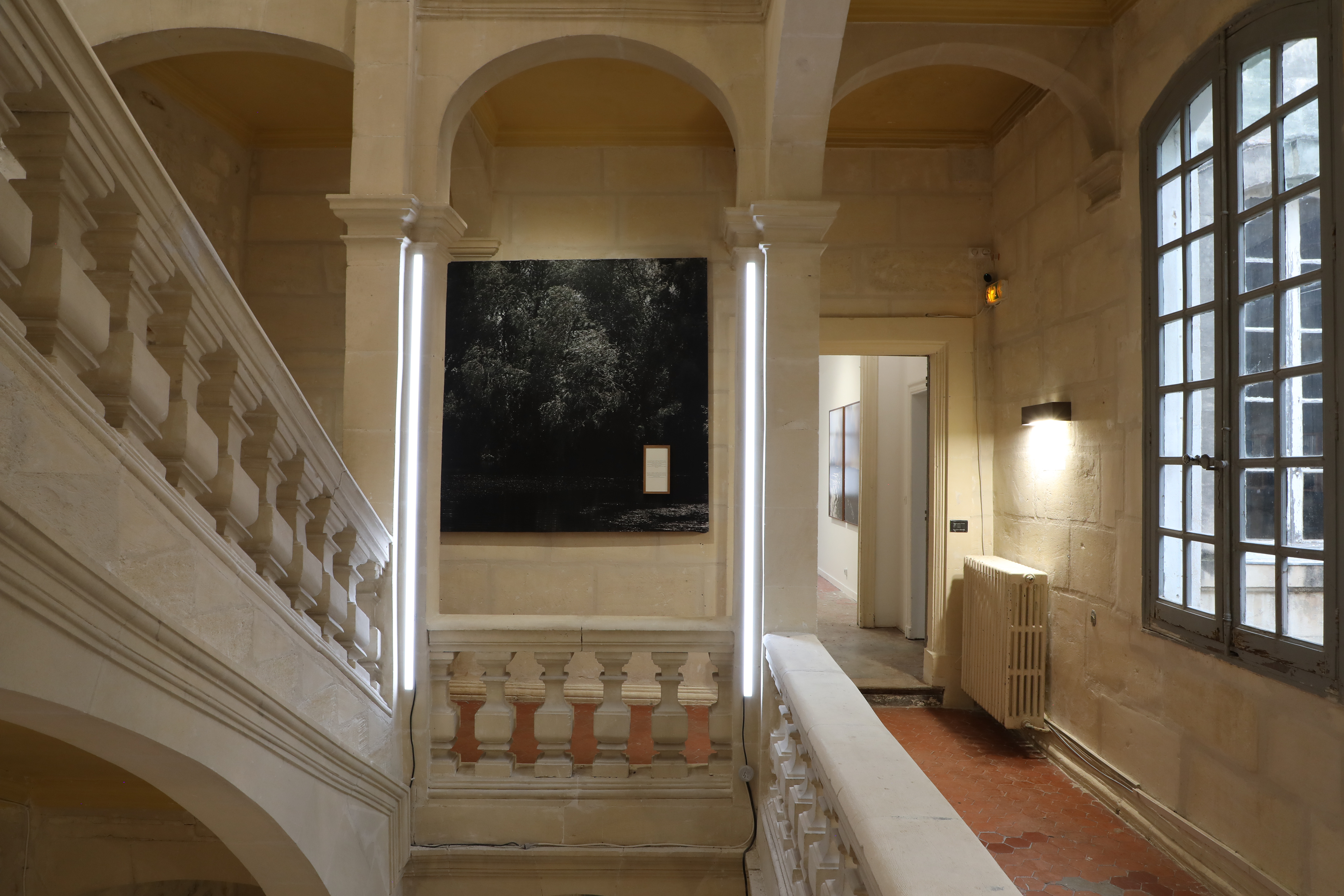 Camilla de Maffei, Delta.