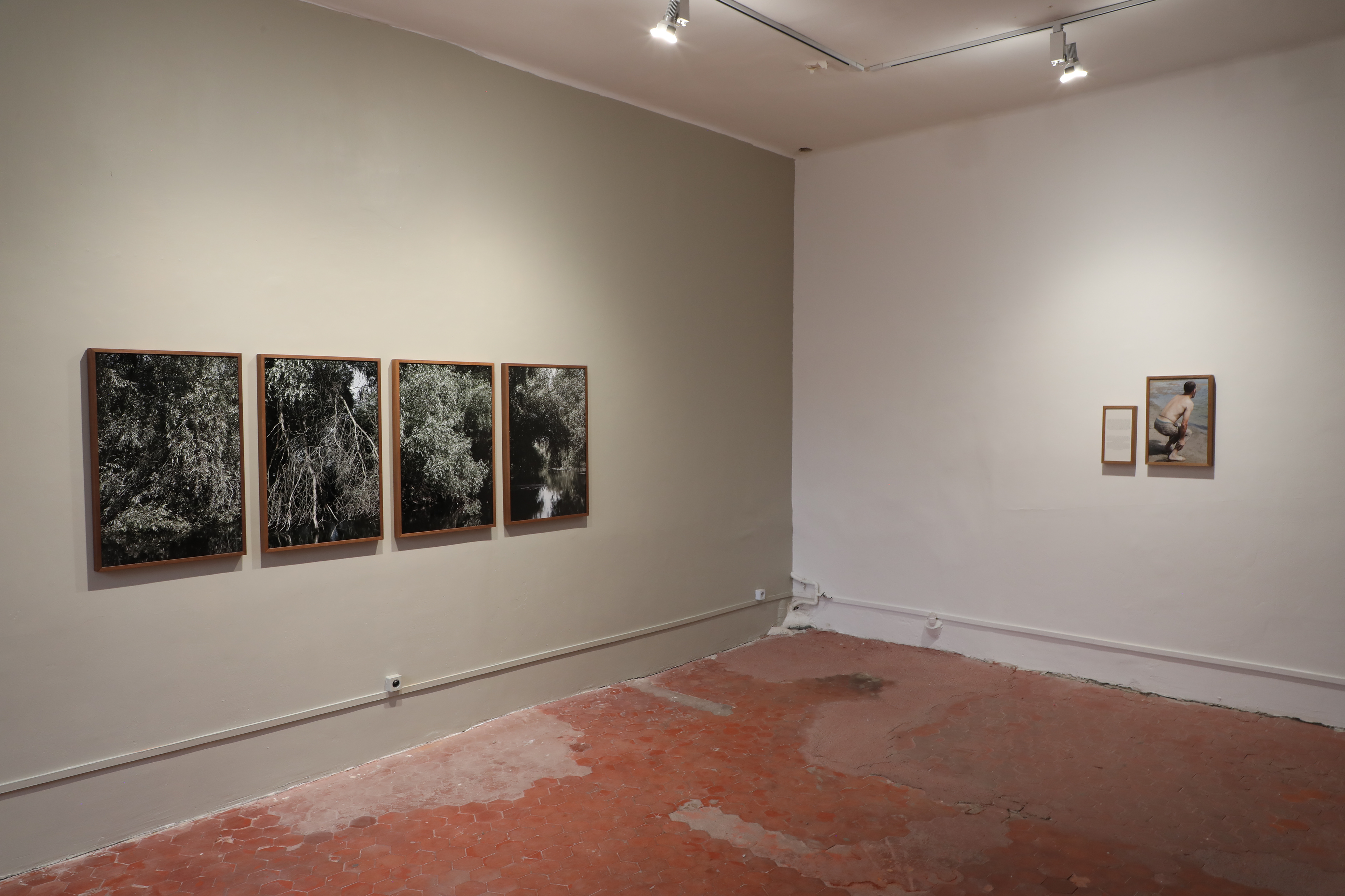 Camilla de Maffei, Delta.