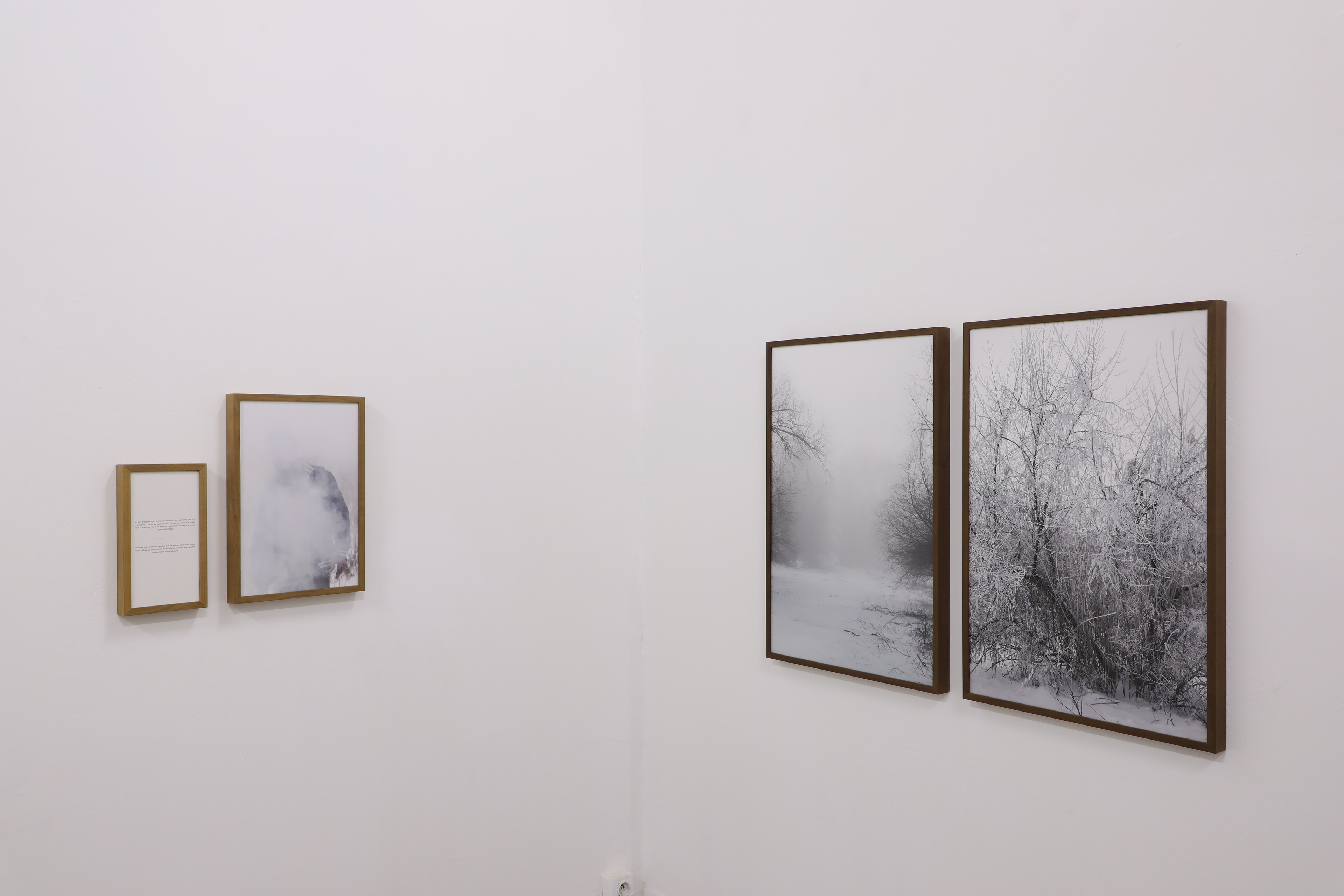 Camilla de Maffei, Delta.