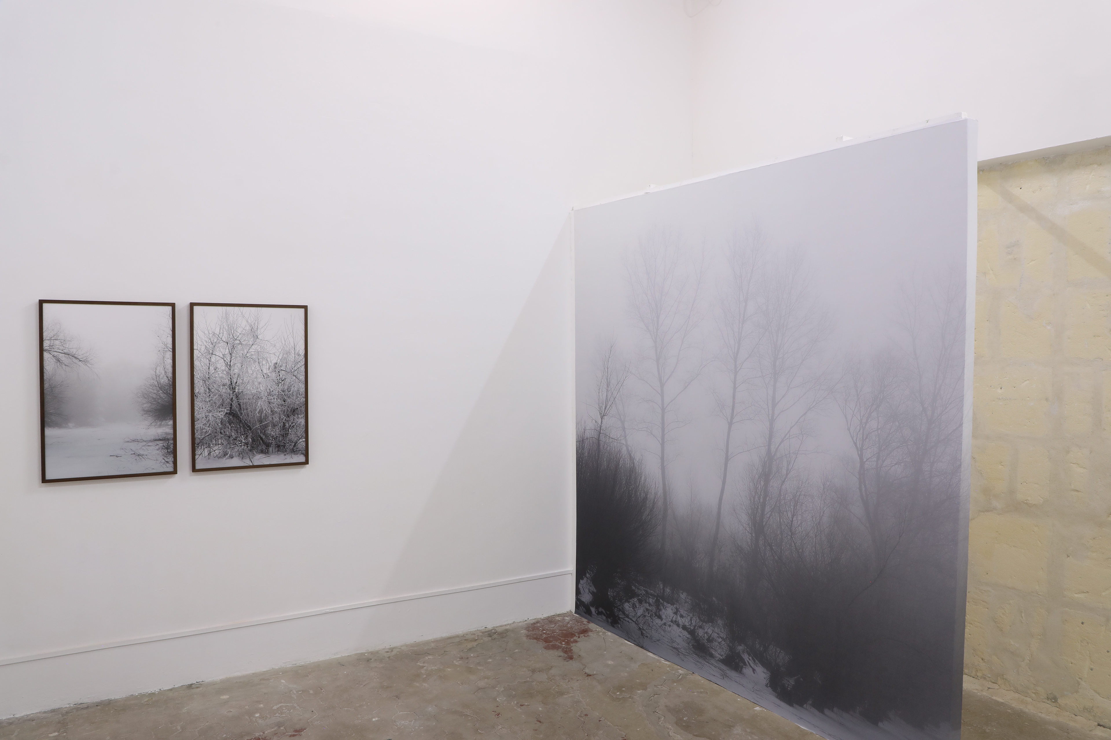 Camilla de Maffei, Delta.