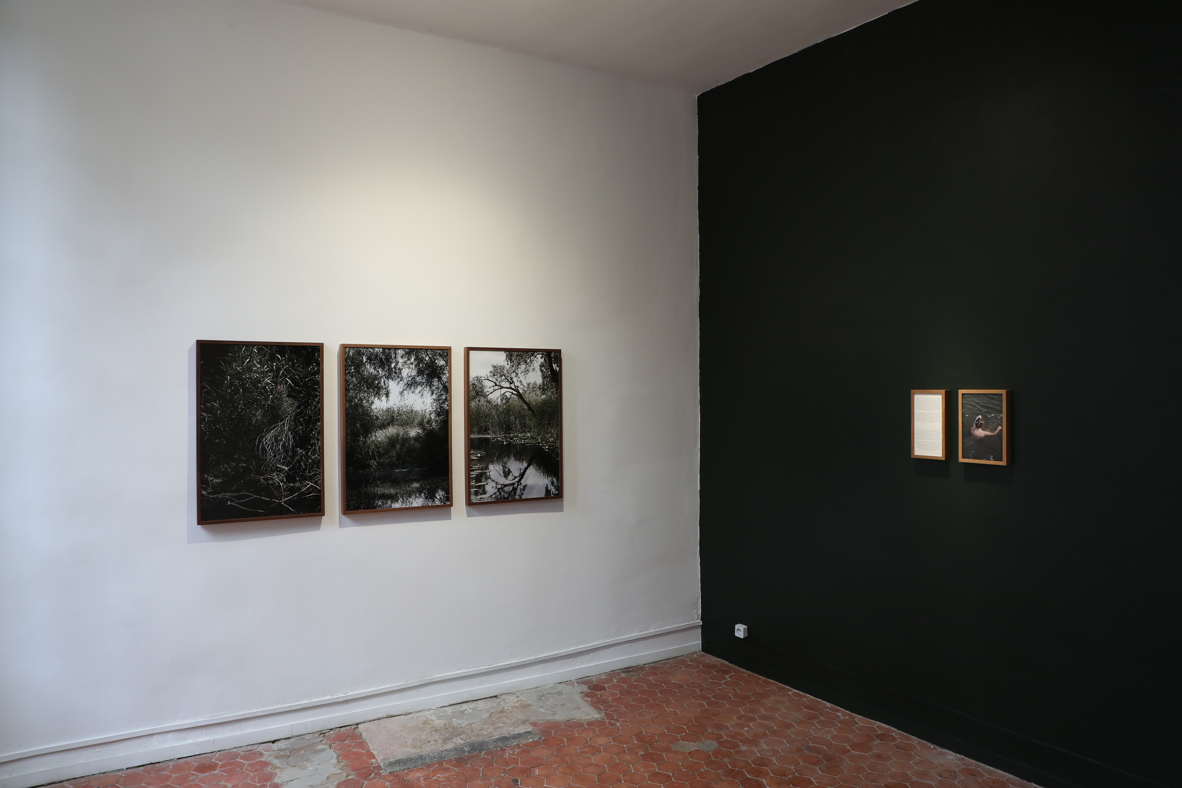 Camilla de Maffei, Delta.