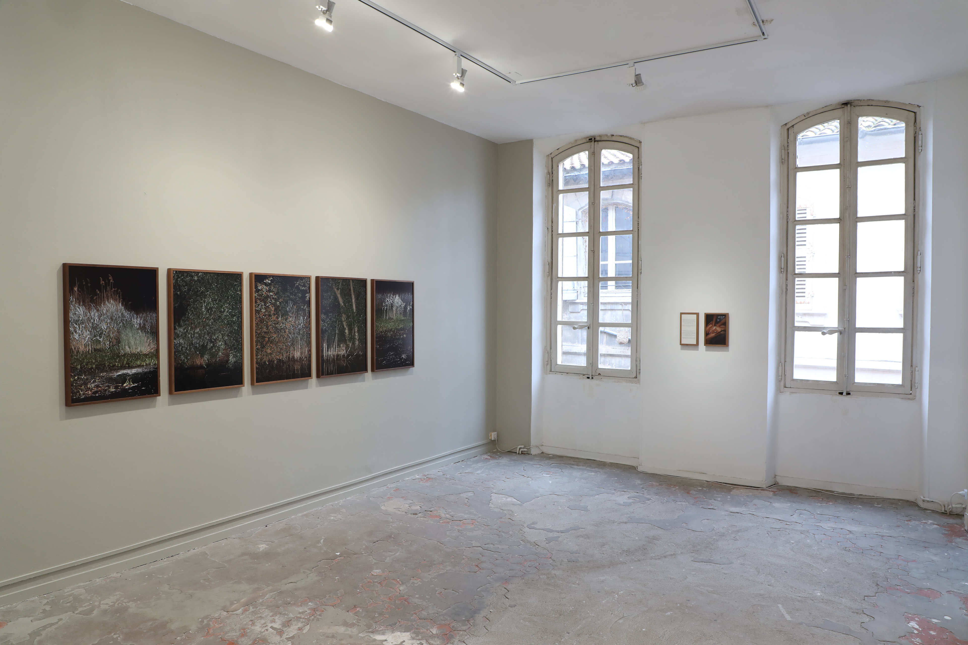 Camilla de Maffei, Delta.