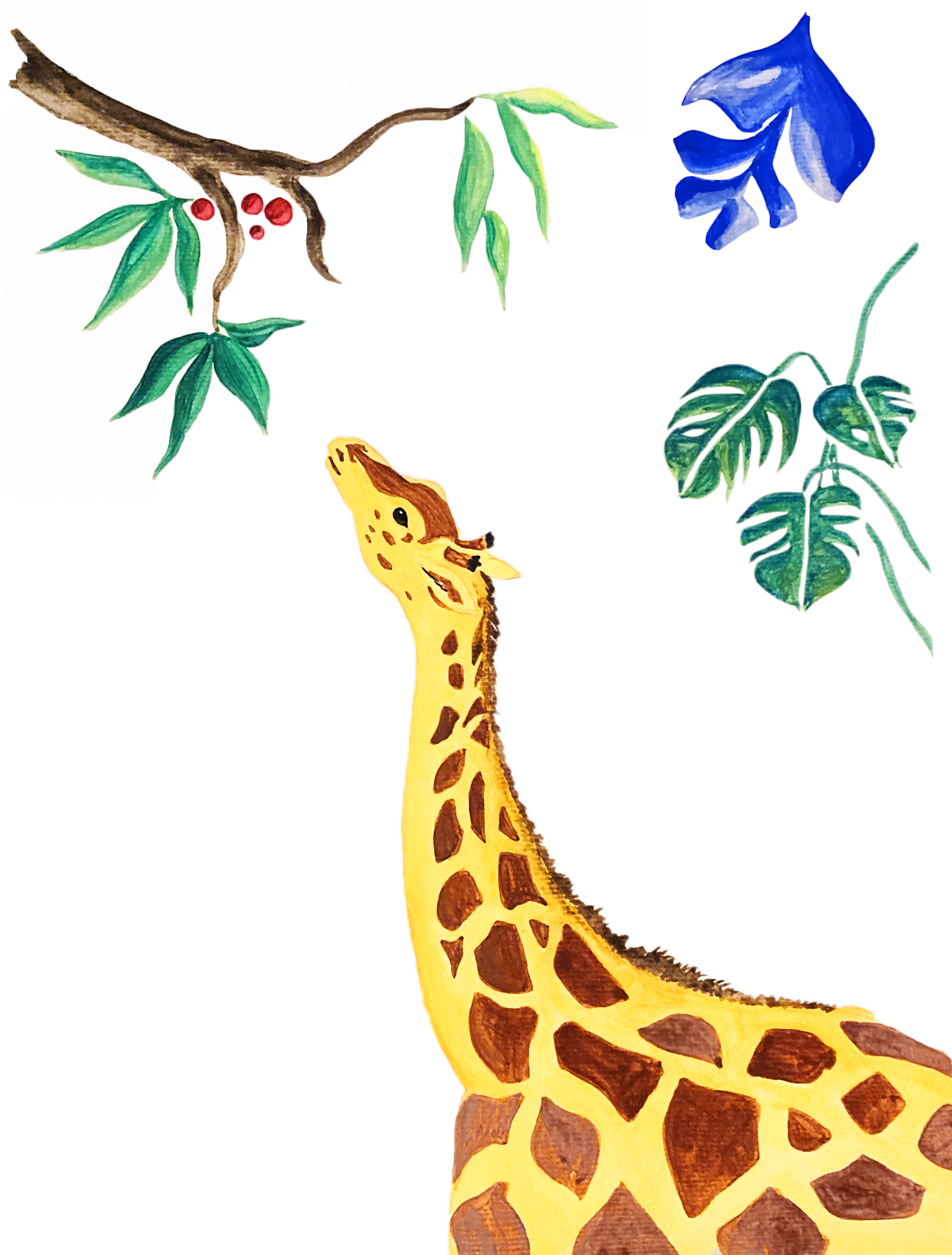 Girafe
