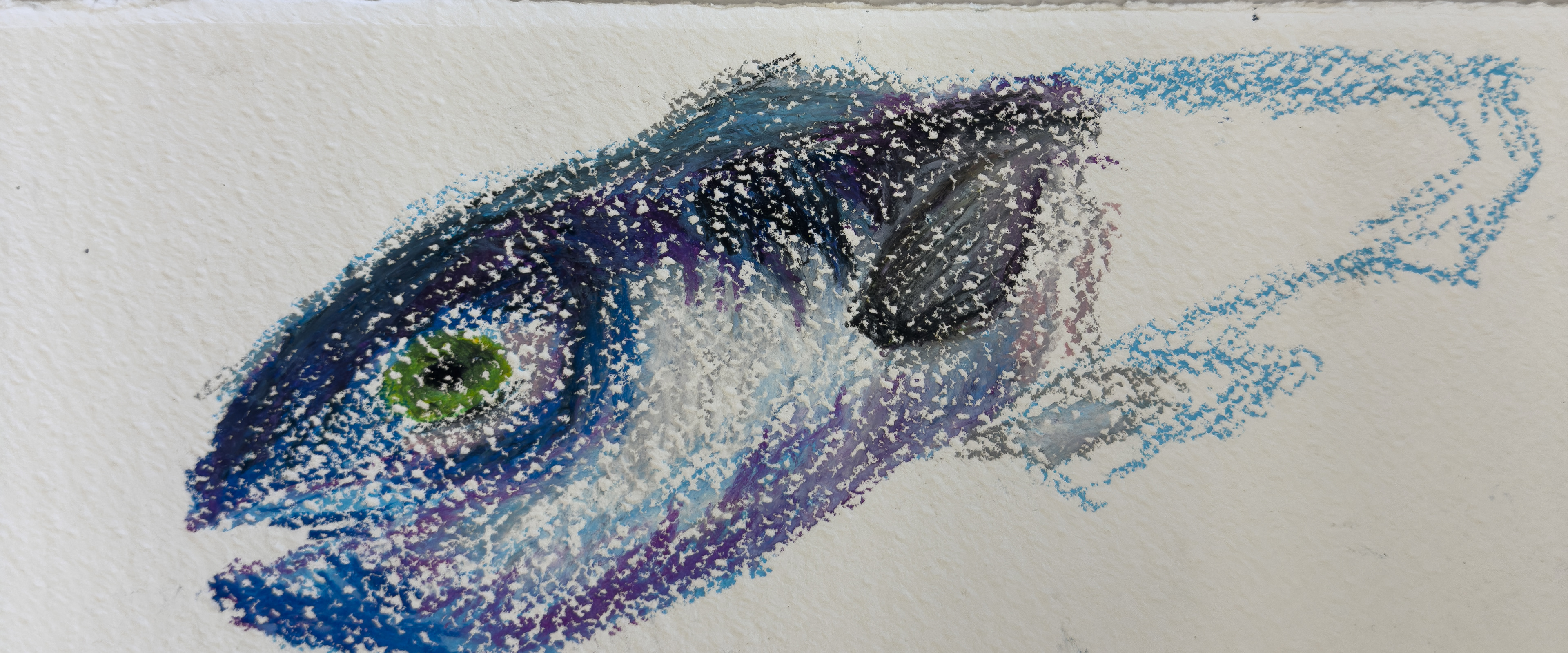fish sketch 