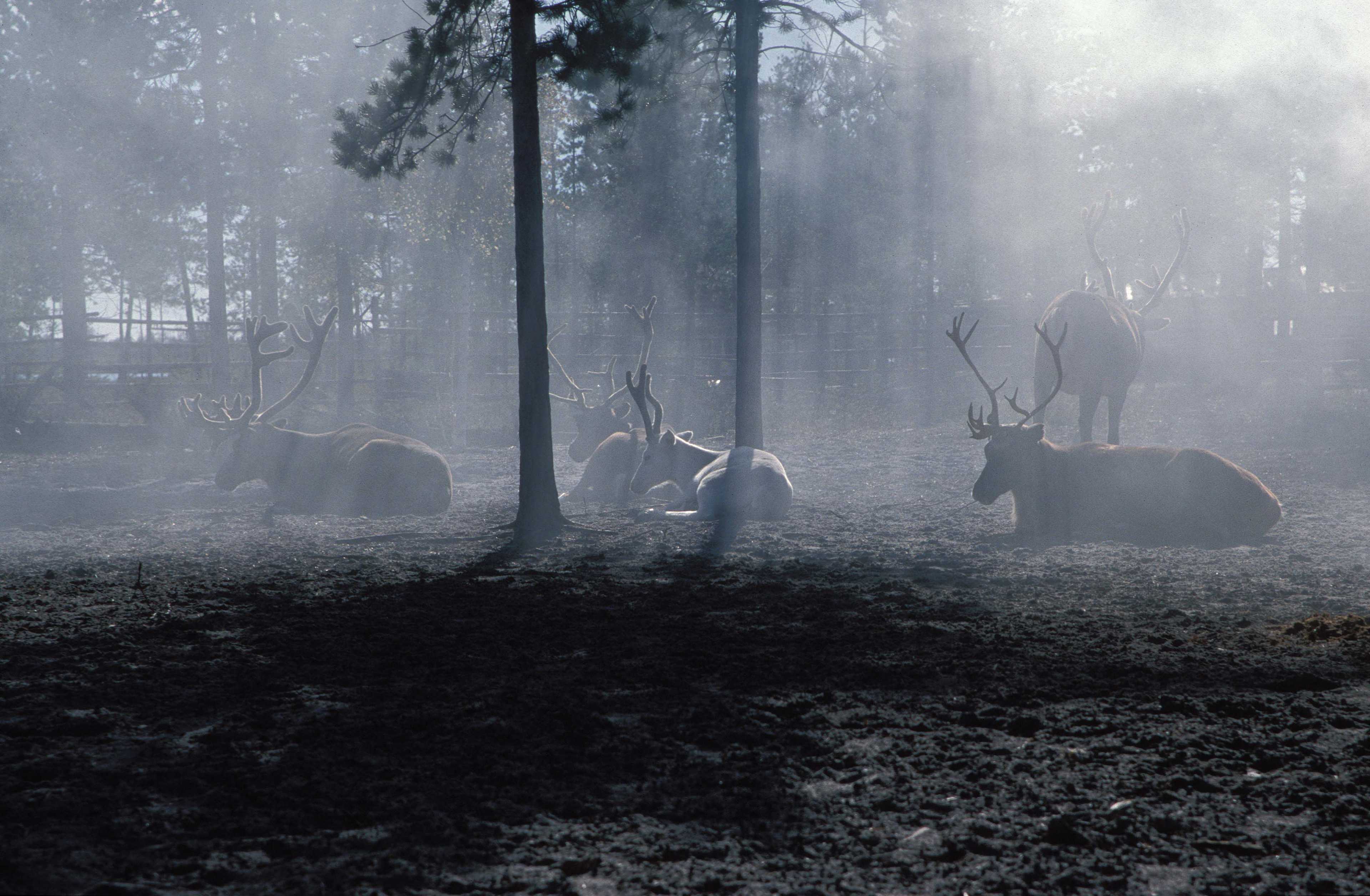 Siberia © Christian Vagt