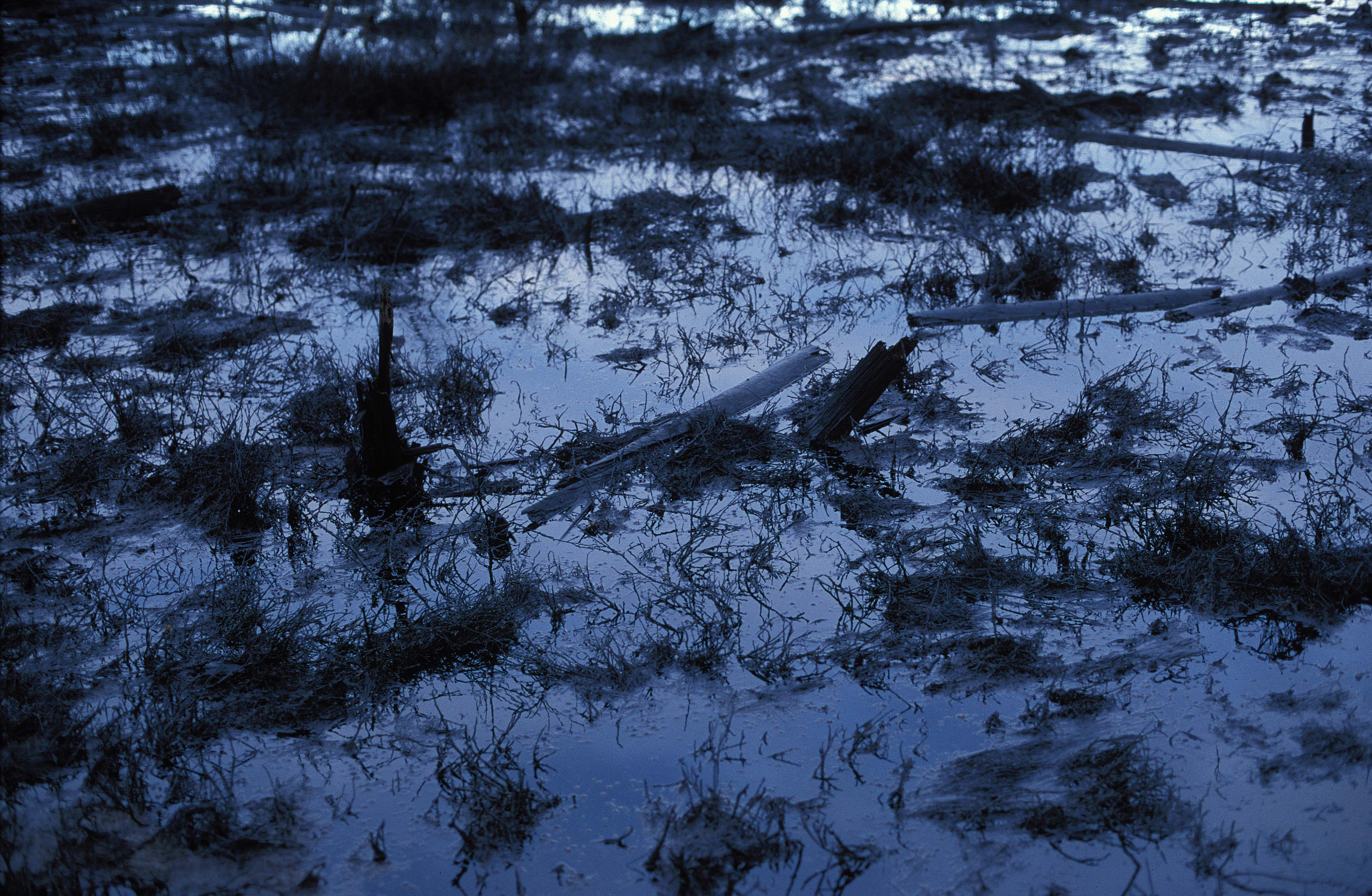 Siberia © Christian Vagt