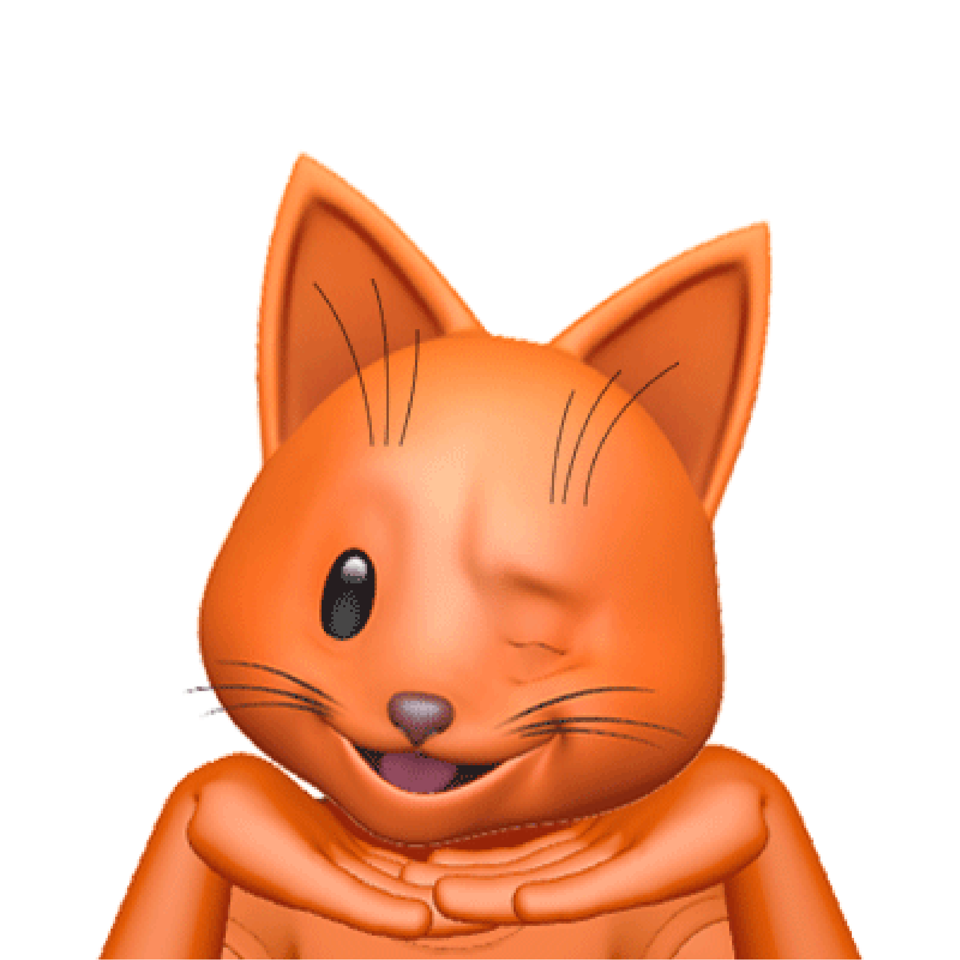 Yumy / Pet
