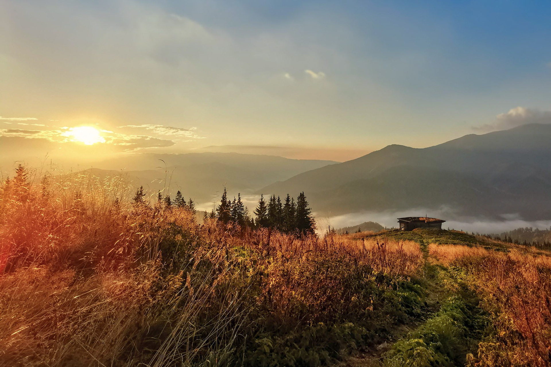 Comisu refuge 2020 (by phone)