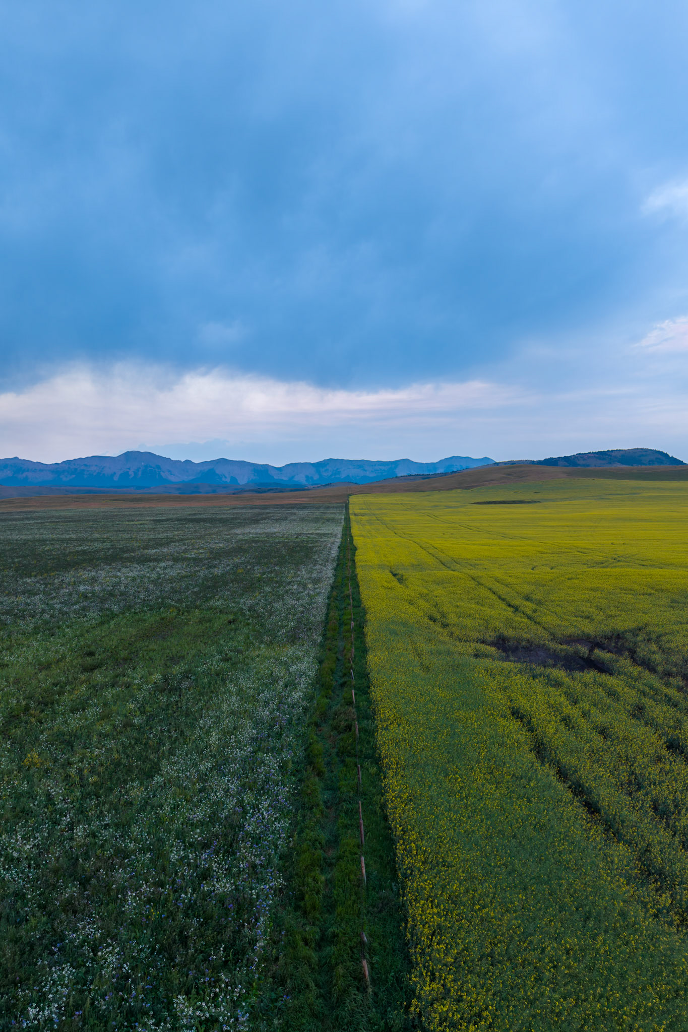 Cultivated fields off Cowboy Trail, Alberta.