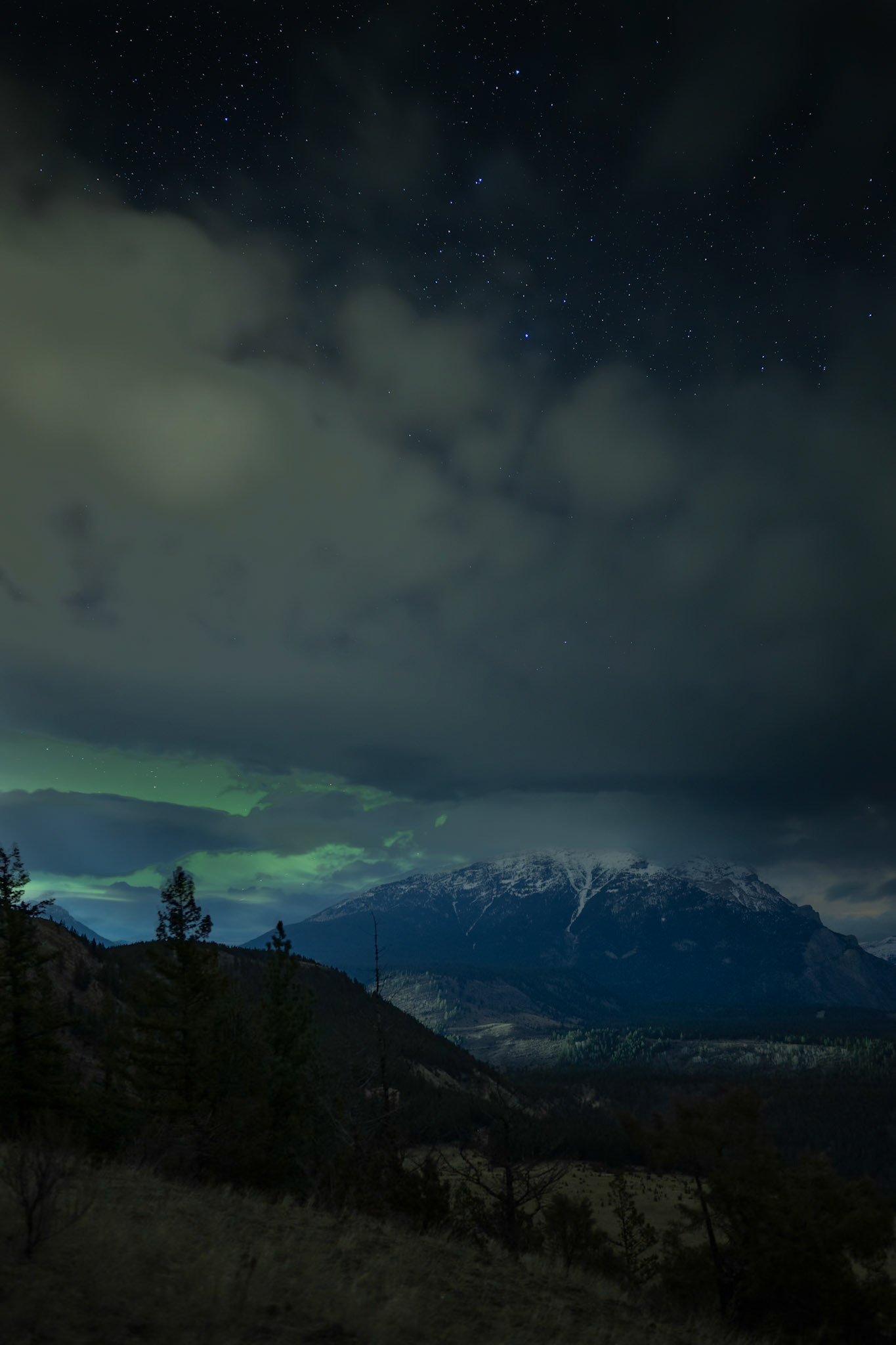 Northern lights near Elko, British Columbia.