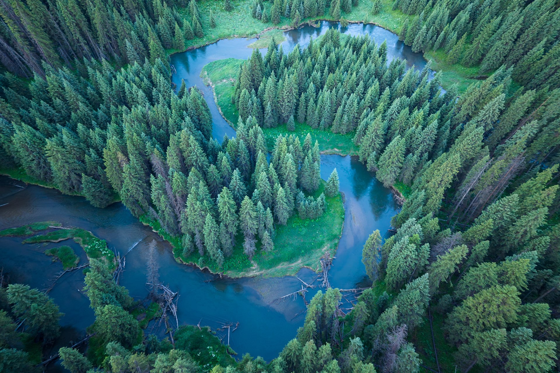 Fording River, Elk Valley, BC.