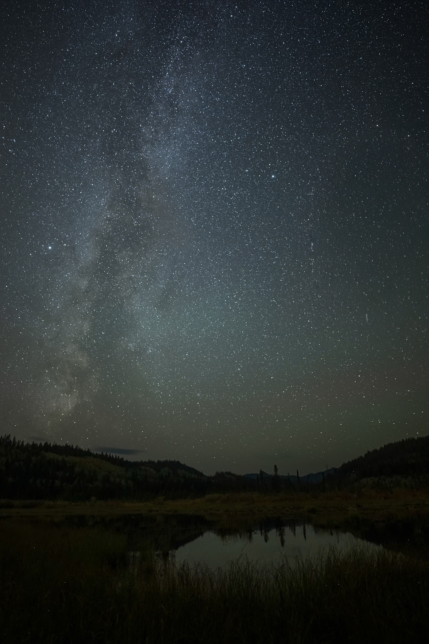 Milky way over a wetland in Jasper National Park, Alberta