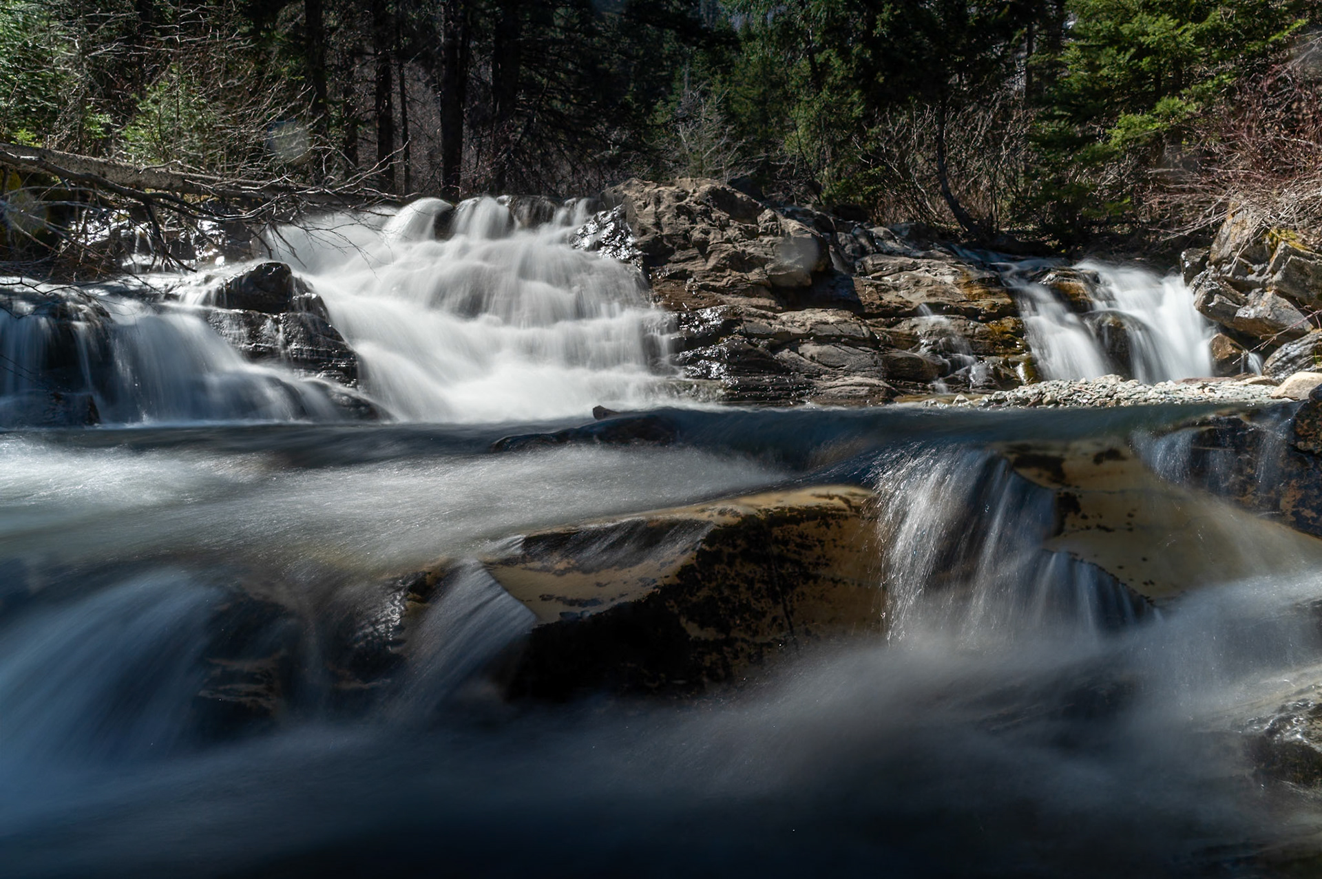 Bertha Creek in Waterton Lakes National Park, Alberta.