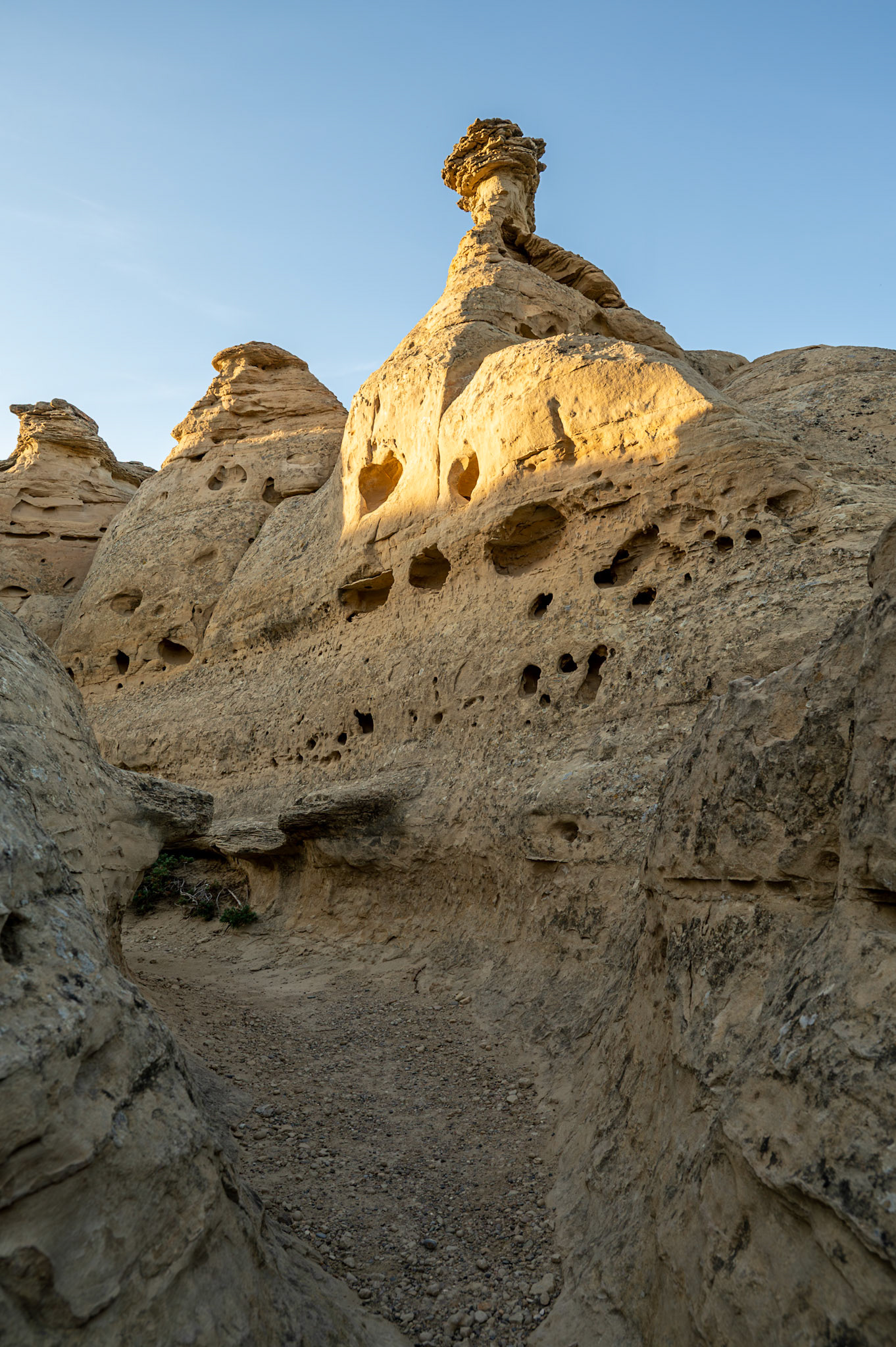 Hoodoos overlooking the trial in Writing-on-Stone Provincial Park in Alberta.