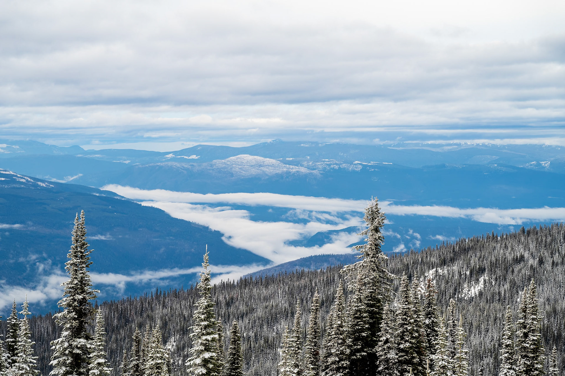 View over the fog-filled Clearwater Valley amid the snow-covered trees.