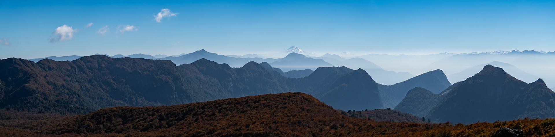 View towards the Andes at base of Villarica Volanco, Pucon, Chile.
