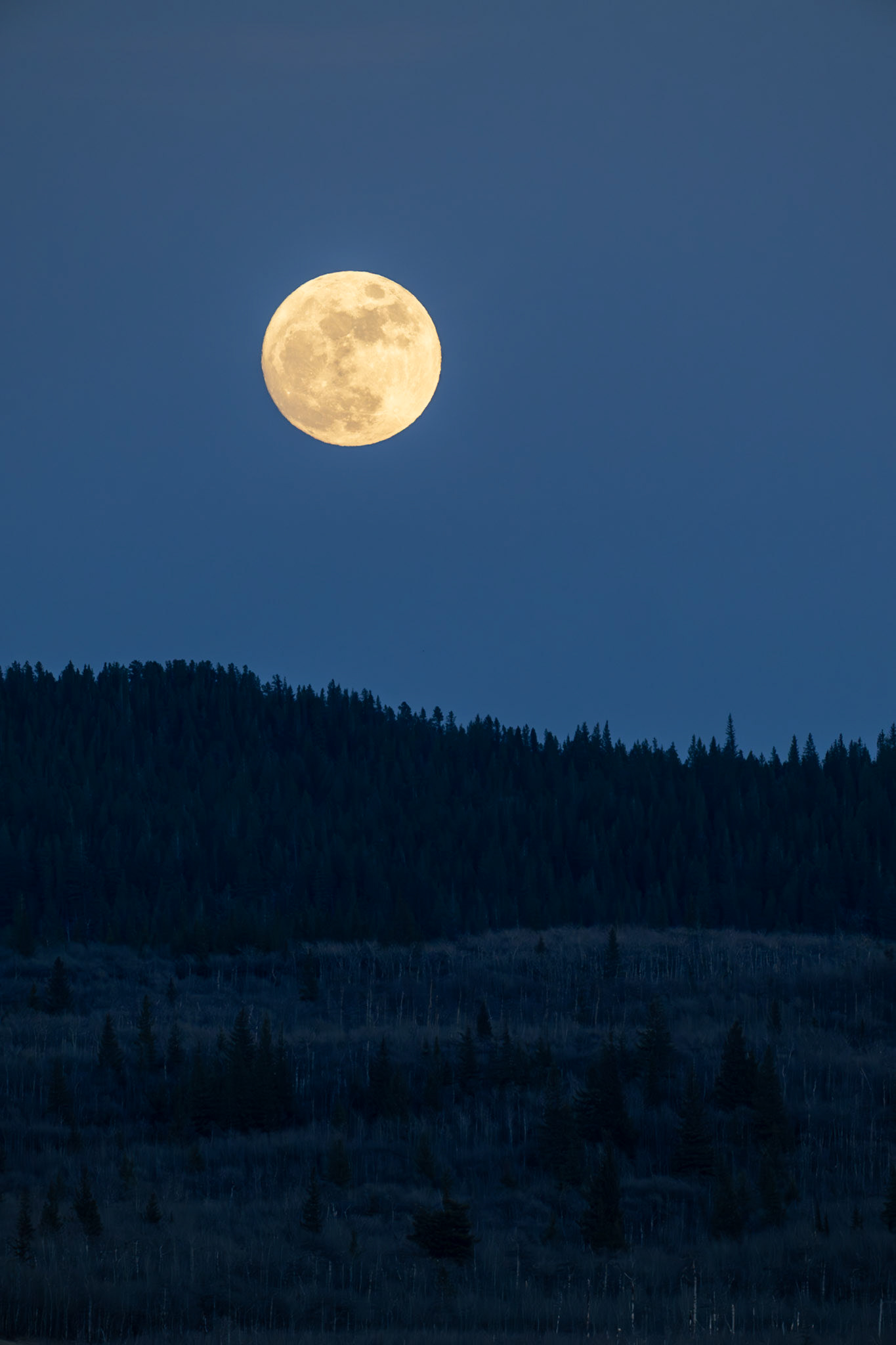 Full moon over Waterton Lakes National Park, Alberta.