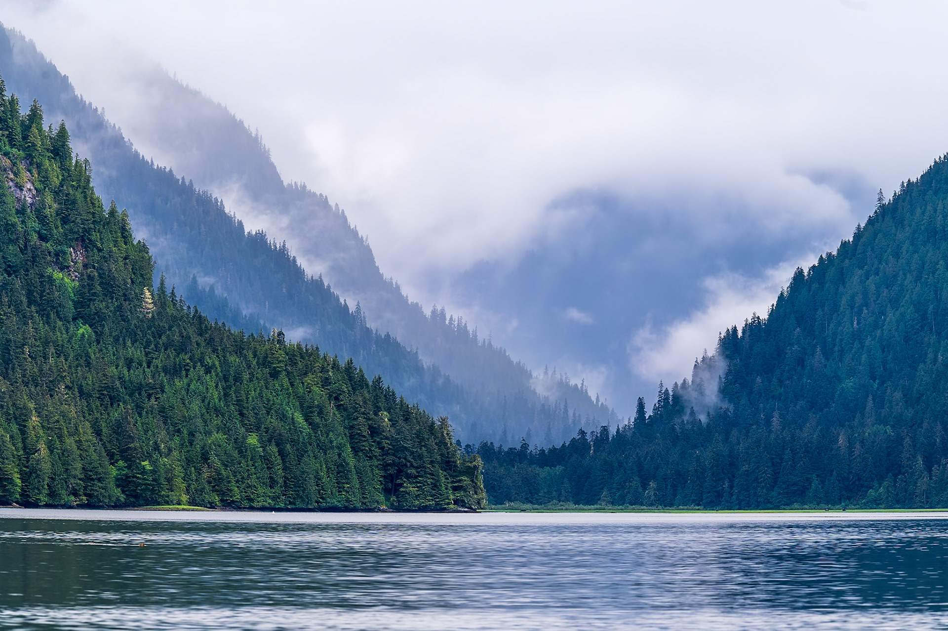 An overcast morning in the Khutzeymateen Inlet on the lookout for resident grizzly bears.