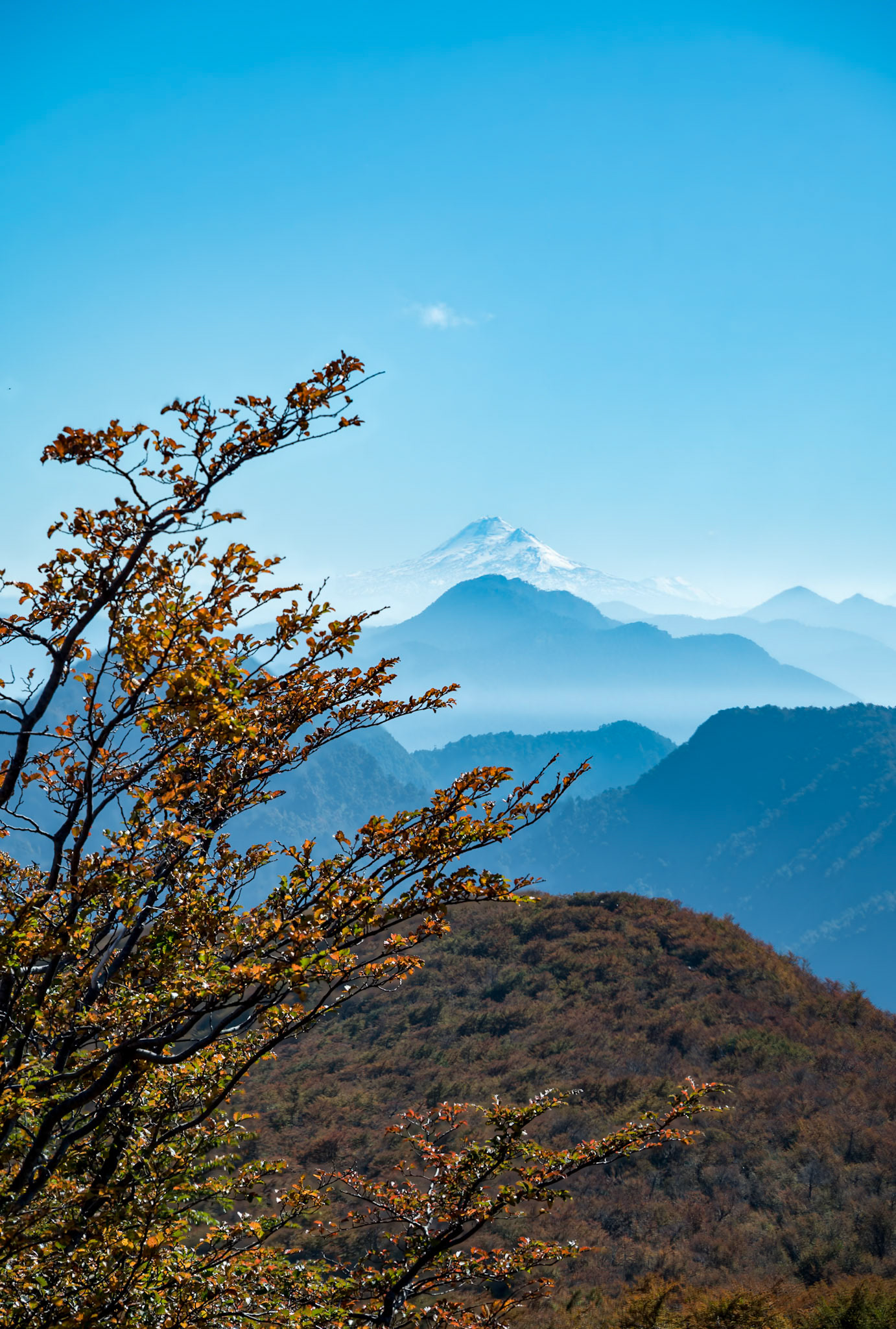 View towards the Andes at base of Villarica Volanco, Pucon, Chile.