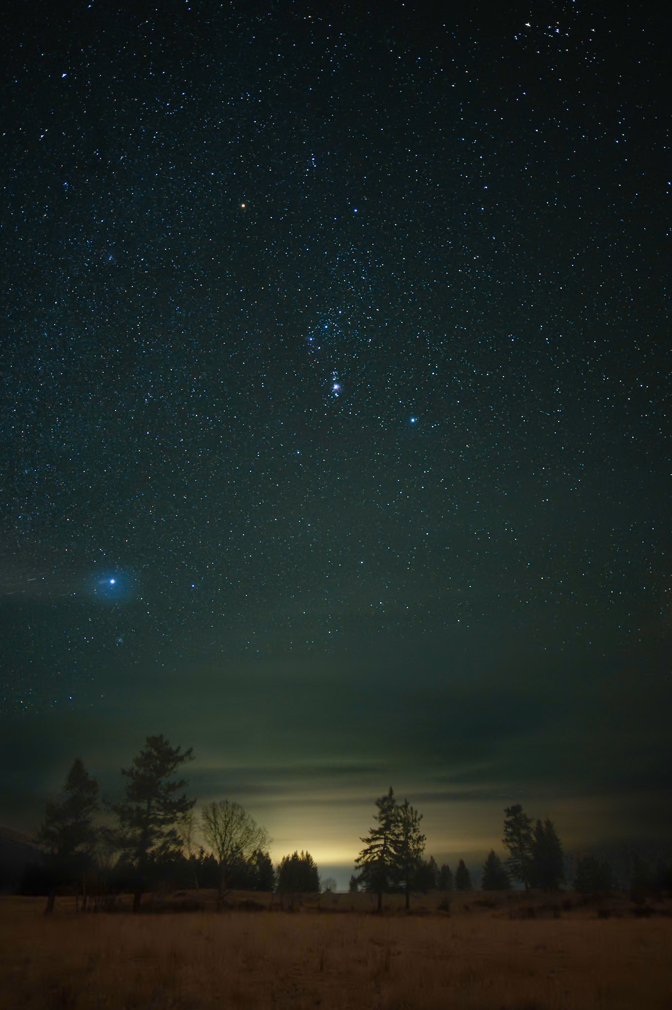 Starry night near Elko, British Columbia.