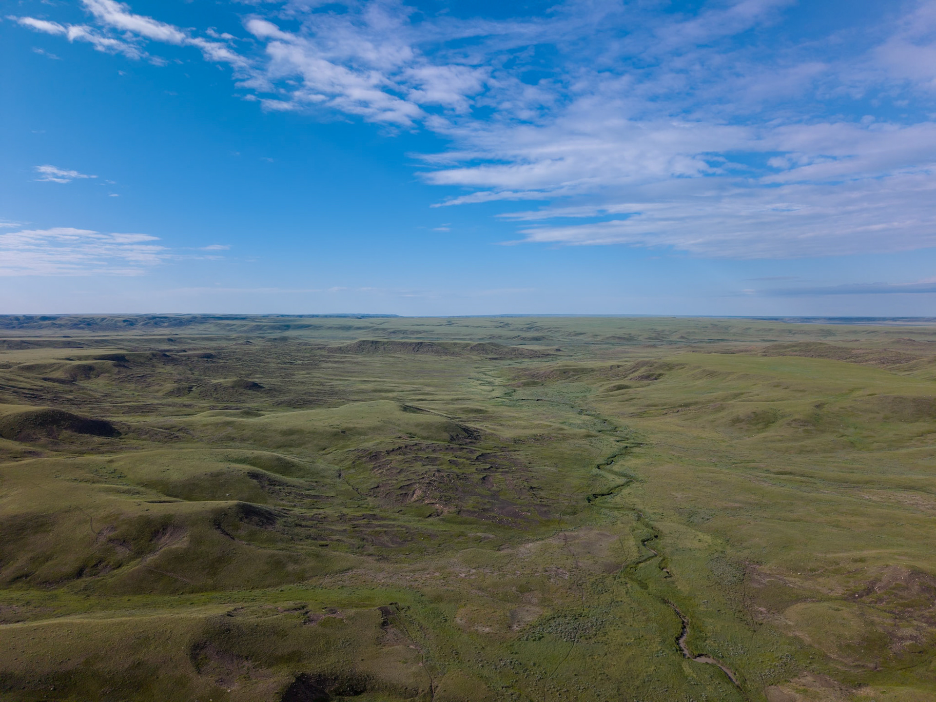 Grazing lands outside boundary of  Grasslands National Park - West Block, Saskatchewan.