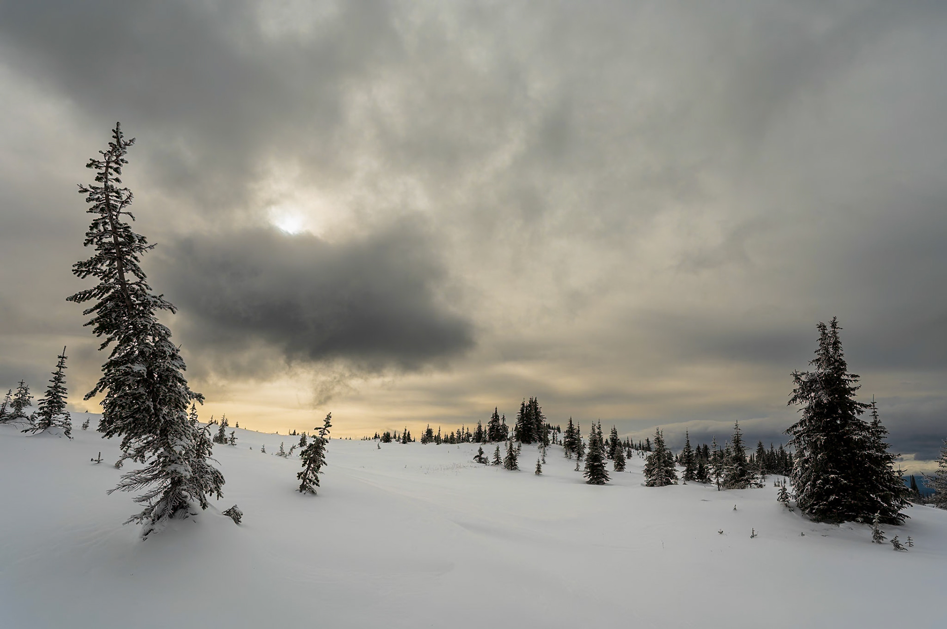 A quiet moment atop Trophy Mountain.