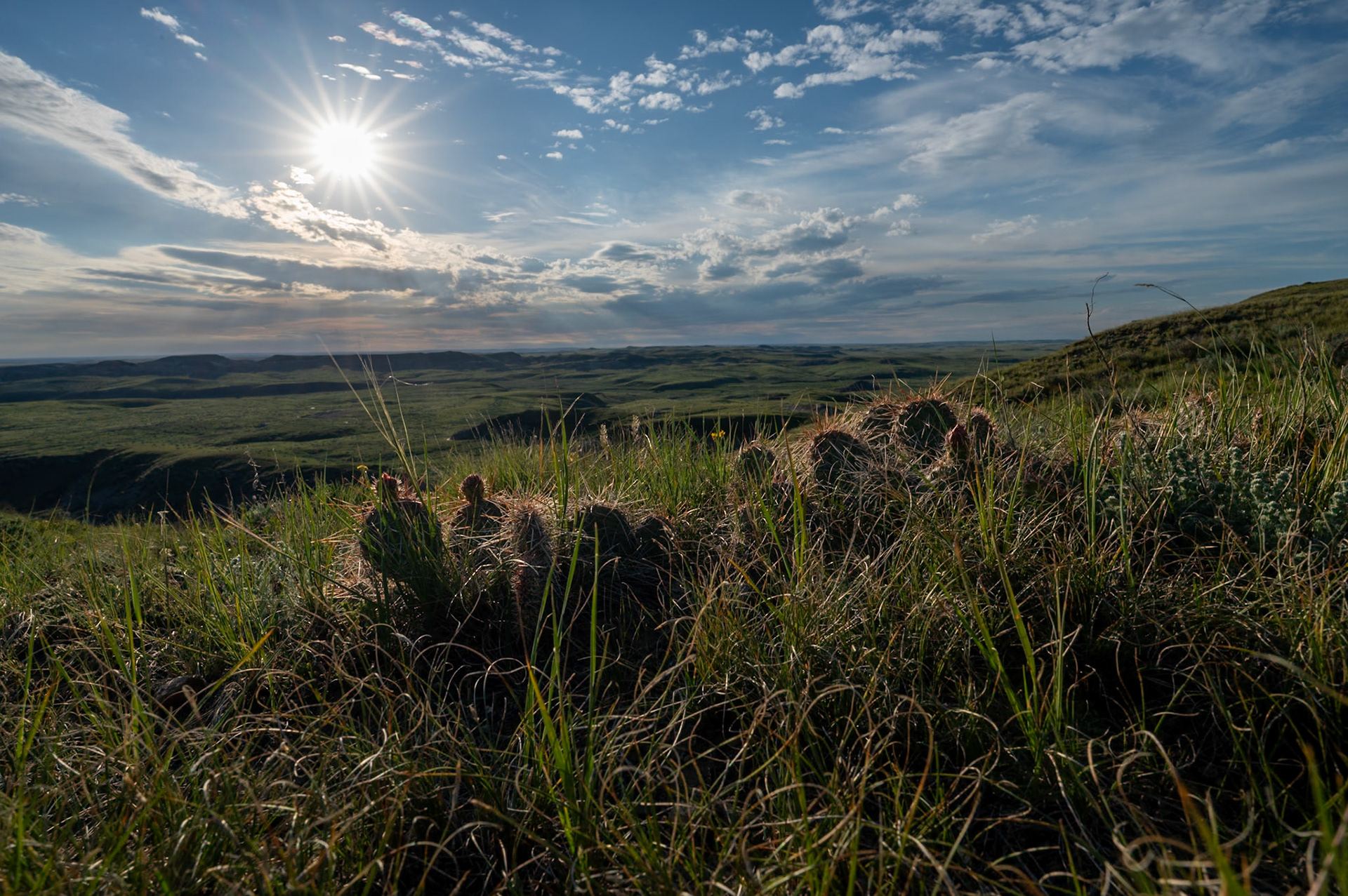 Grasslands National Park - East Block, Saskatchewan.