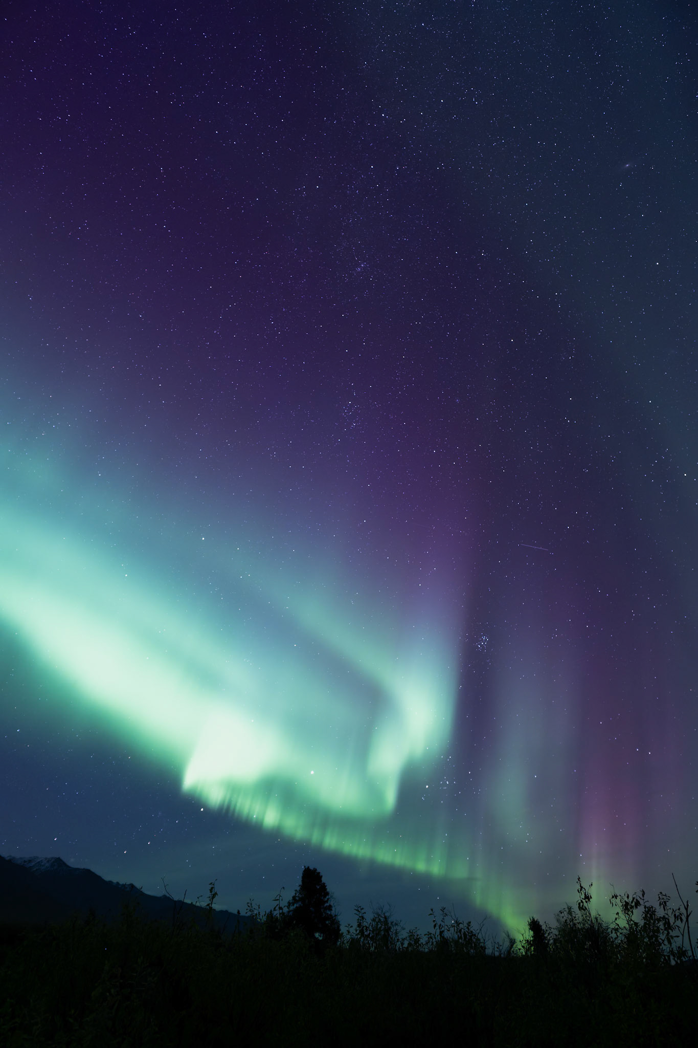 A stunning display of the aurora borealis lights up the night sky over Denali National Park.