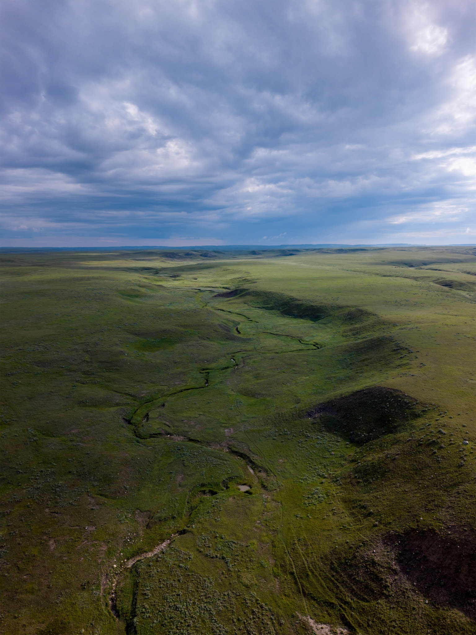 Grazing lands outside boundary of  Grasslands National Park - West Block, Saskatchewan.