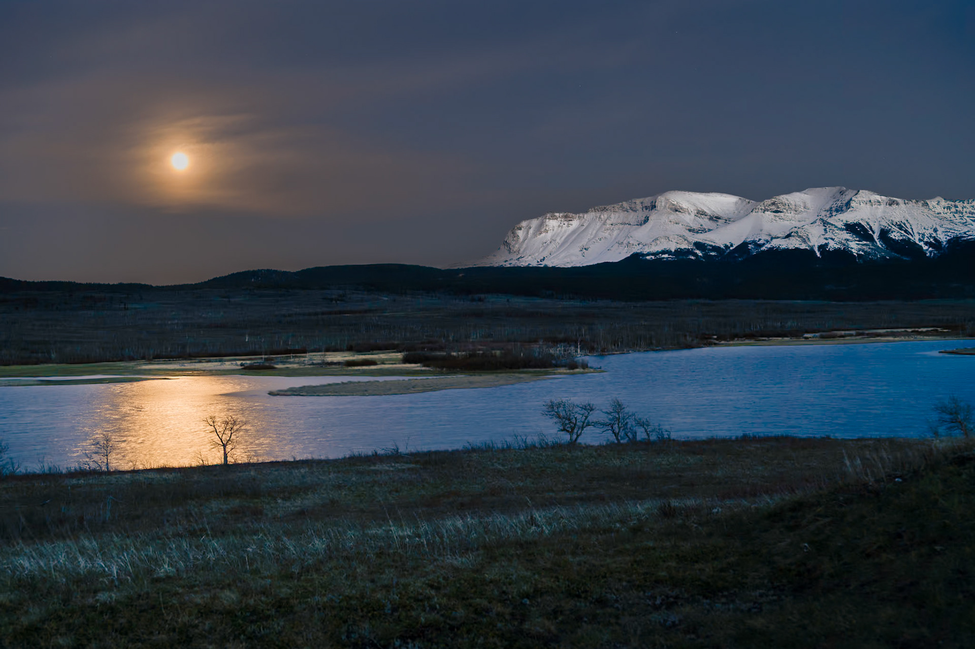 Full moon rises over the Maskinonge wetlands, Waterton Lakes National Park, Alberta.
