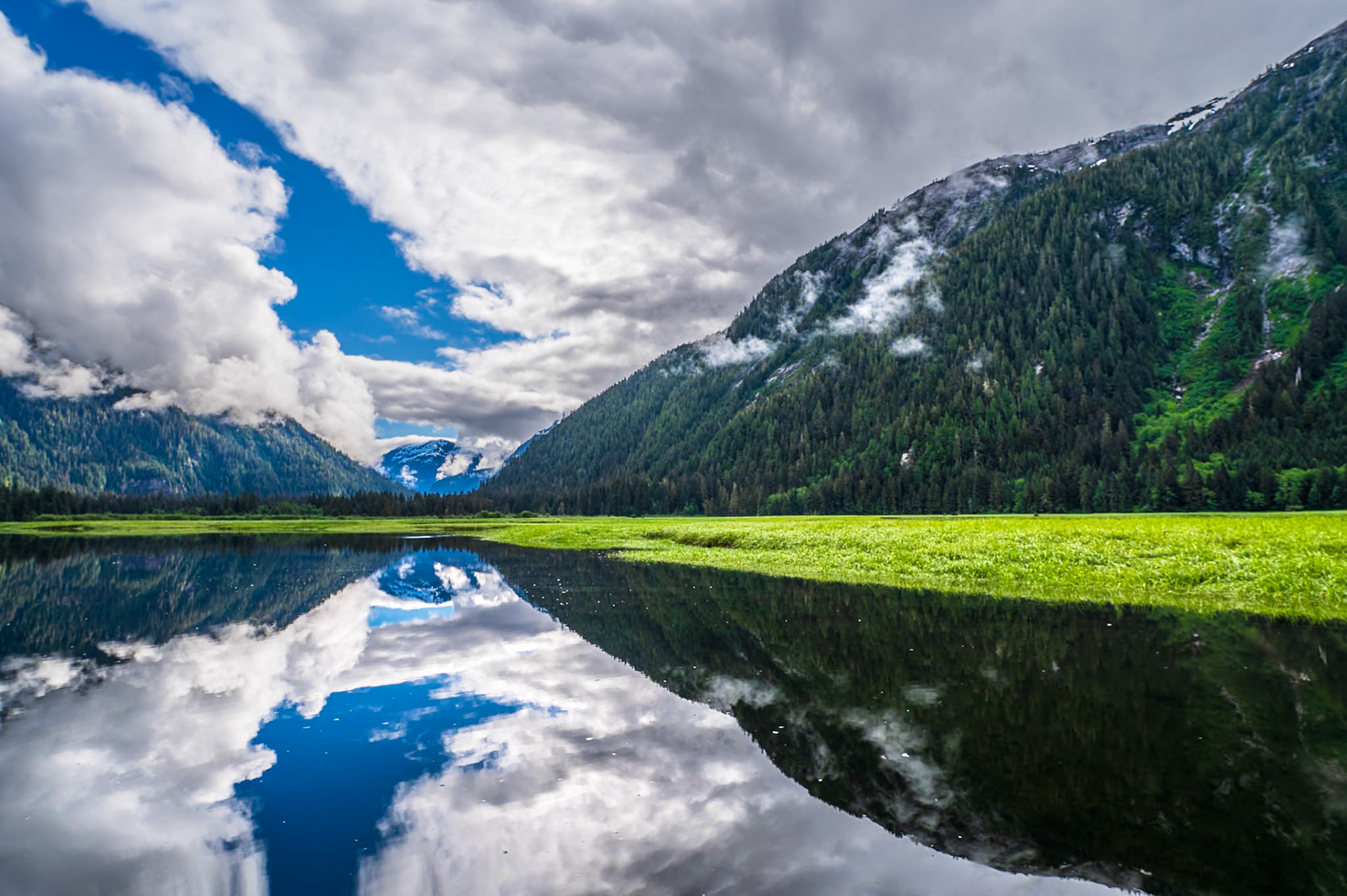 Blue sky peaking through the cloud cover on a beautiful morning in the Khutzeymateen lookining grizzly bears among the sedge.