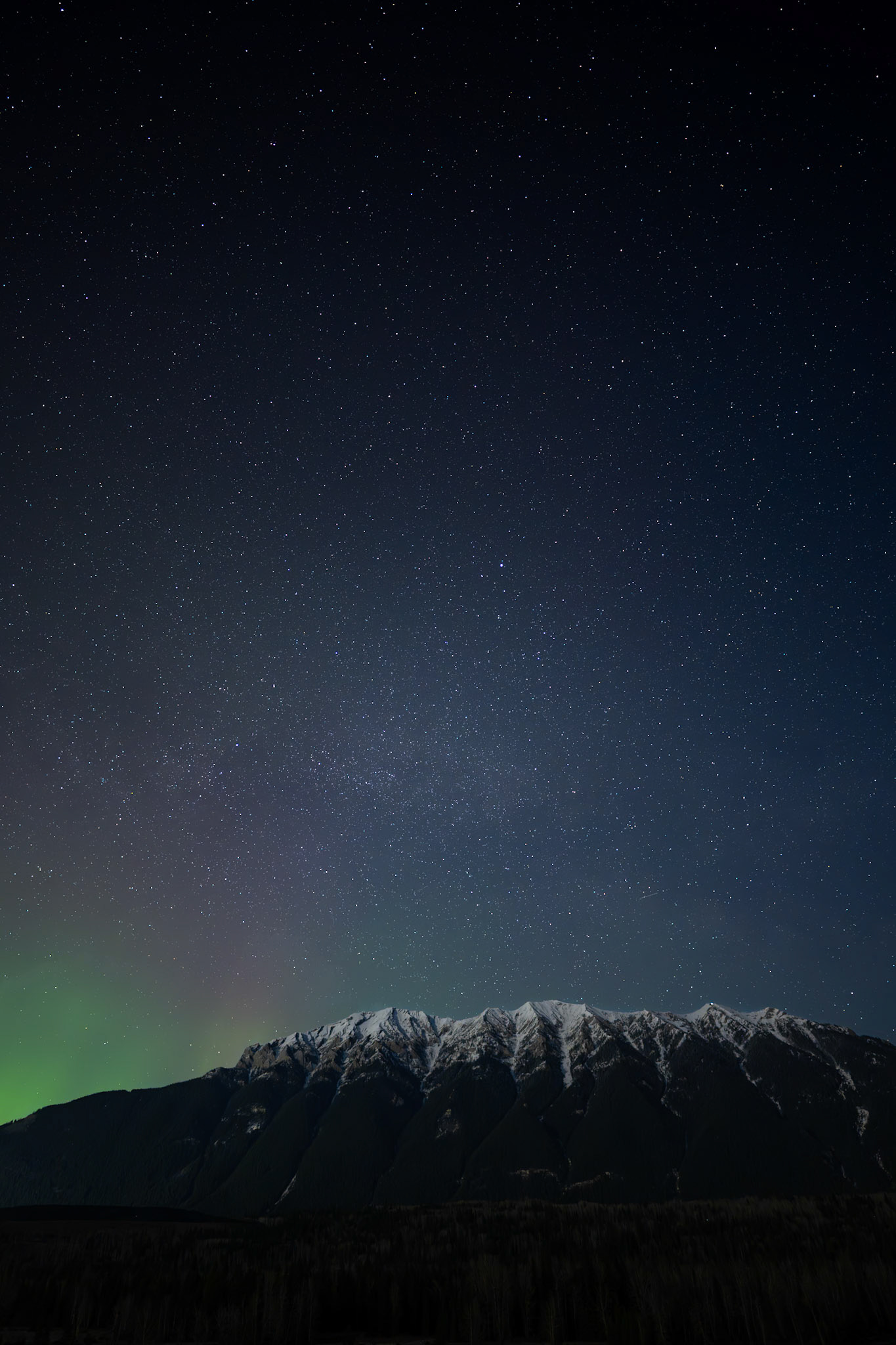 View of Mt. Salter, Elk Valley, British Columbia.