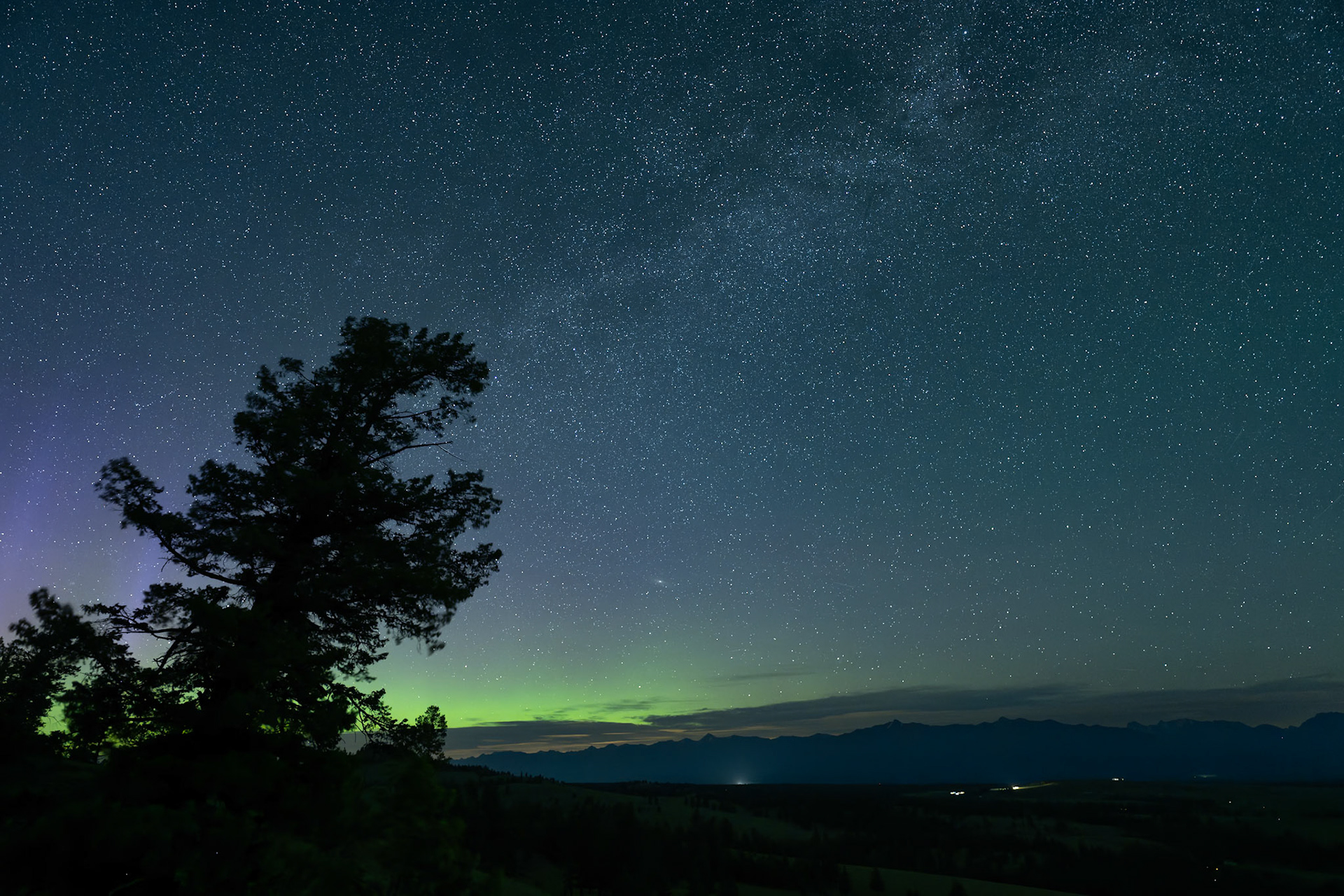Looking north from Wycliffe Buttes near Cranbrook, British Columbia, a lone pine tree stands silhouetted beneath purple and green northern lights.