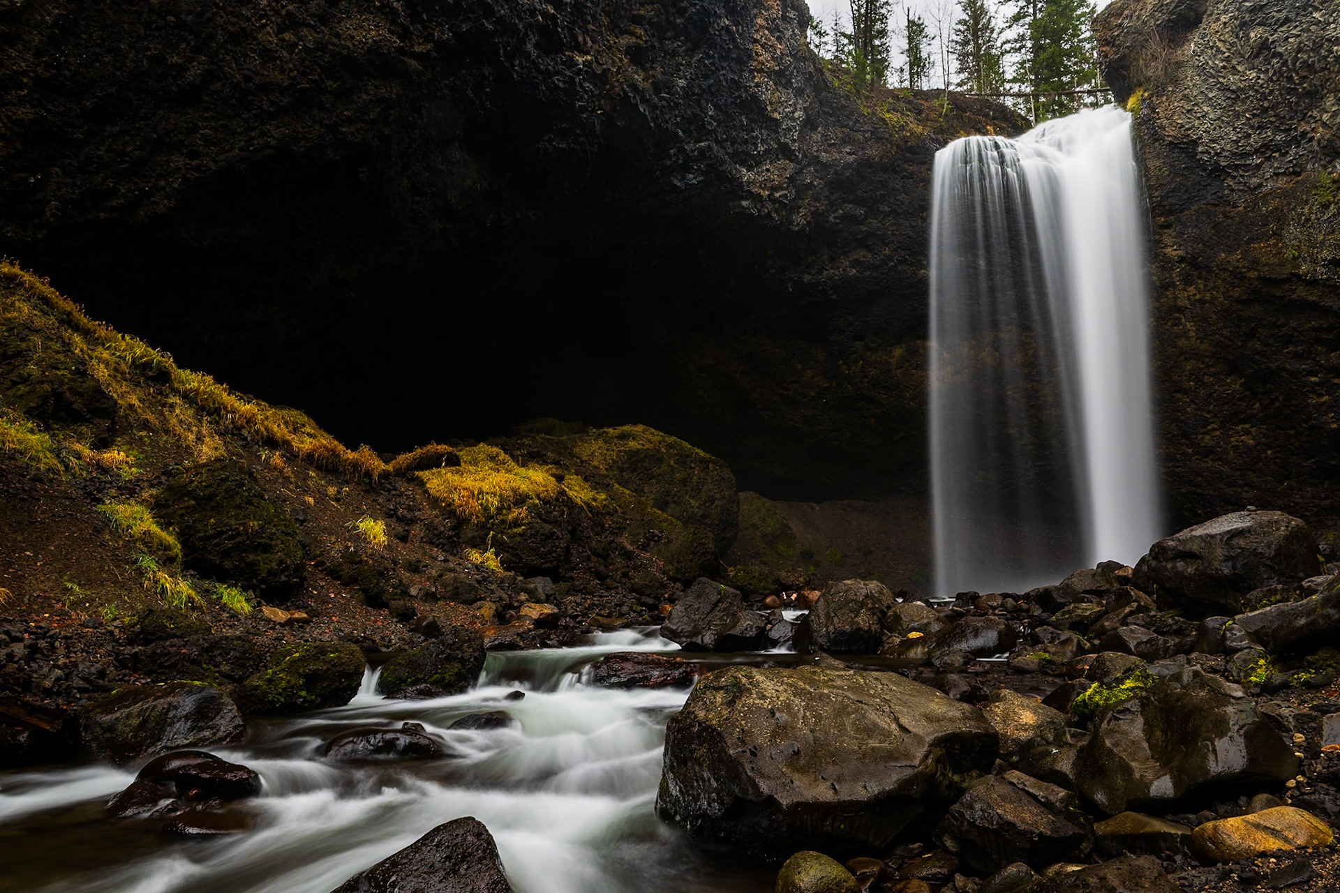 From a low vantage point, Moul Falls in Wells Gray Provincial Park reveals its vibrant beauty. This 35-metre waterfall is one of the park’s most iconic natural landmarks, surrounded by lush old-growth forest.
