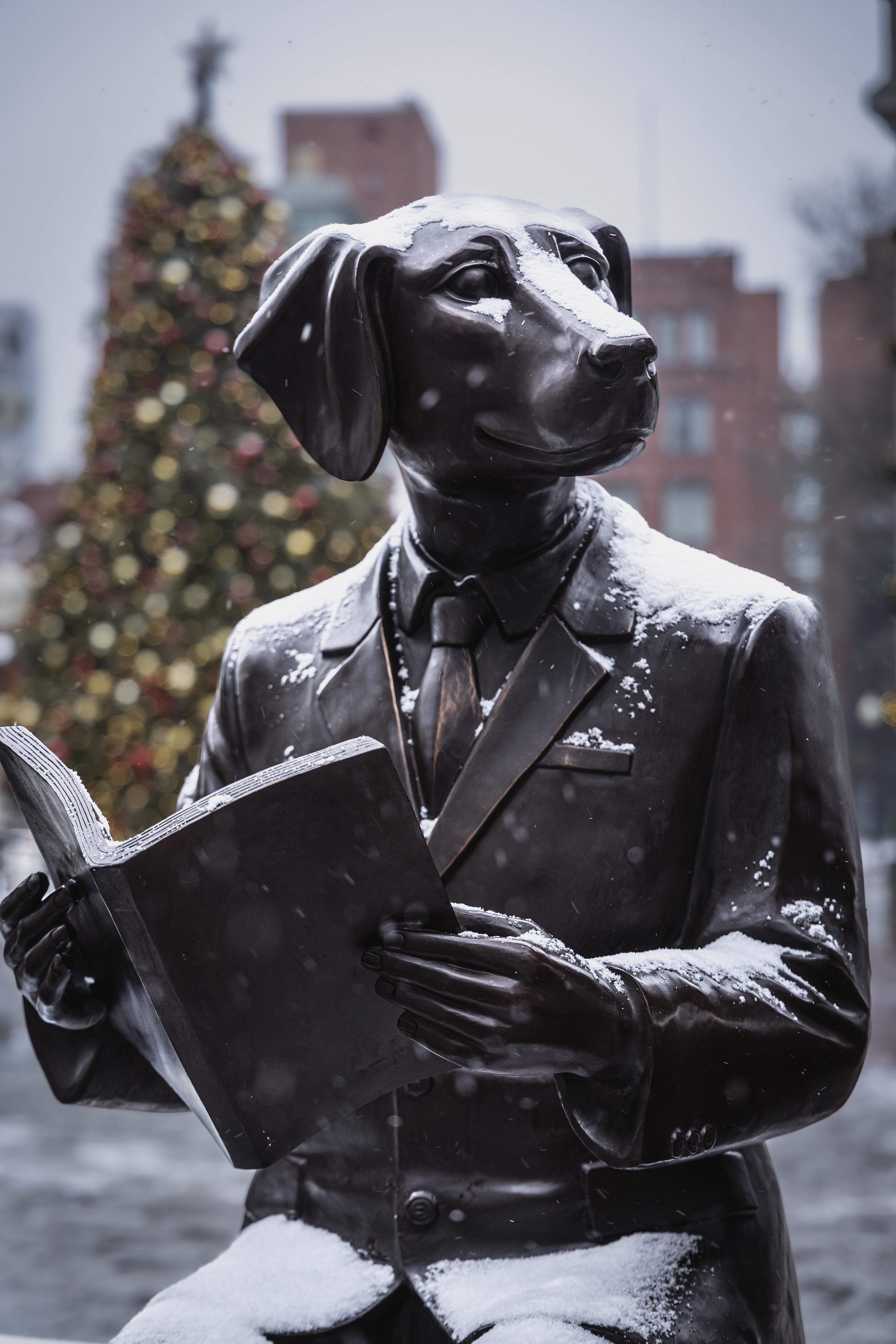 Gillie and Marc - Faneuil Hall - Boston