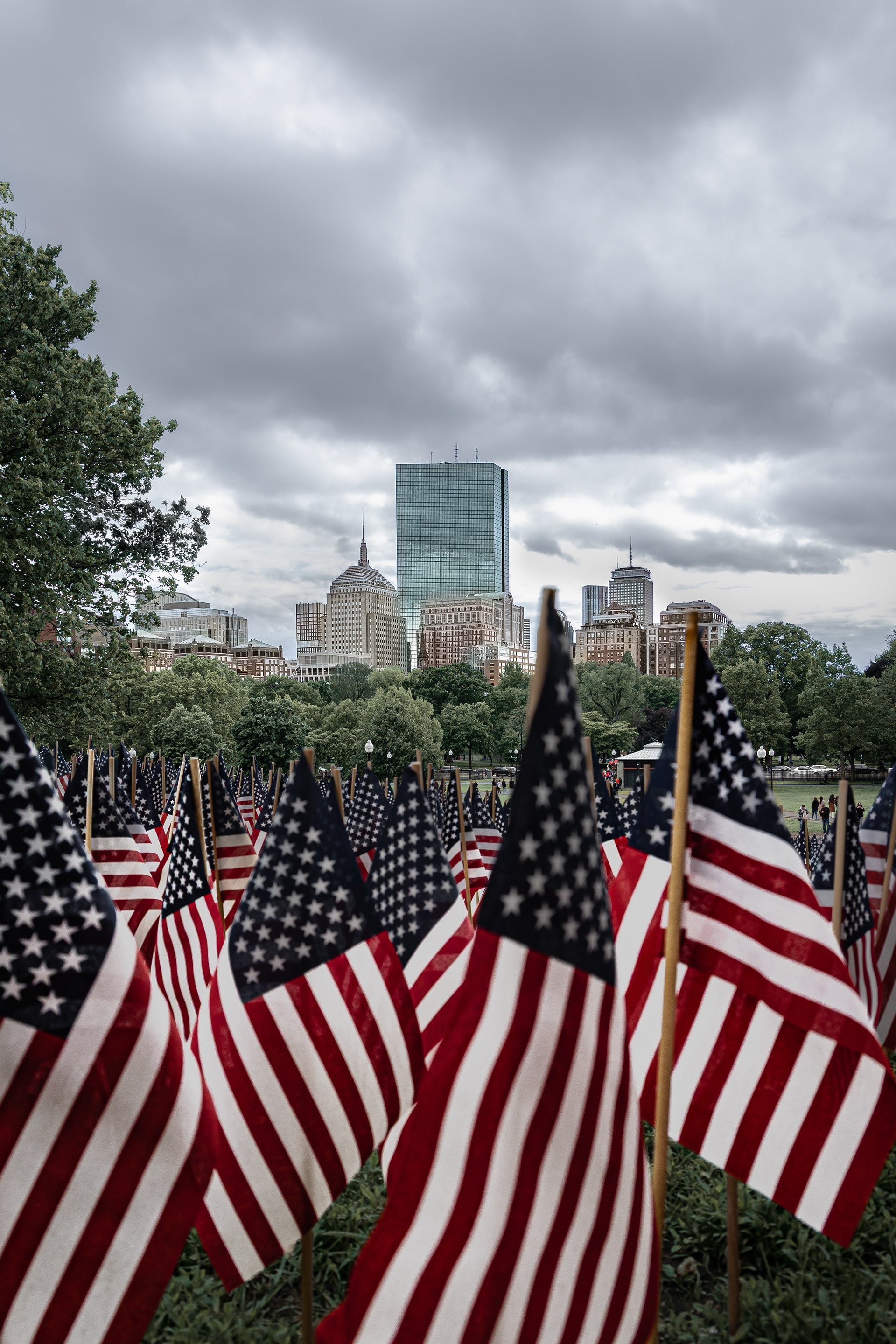 Memorial Day Flag Garden - Boston Common