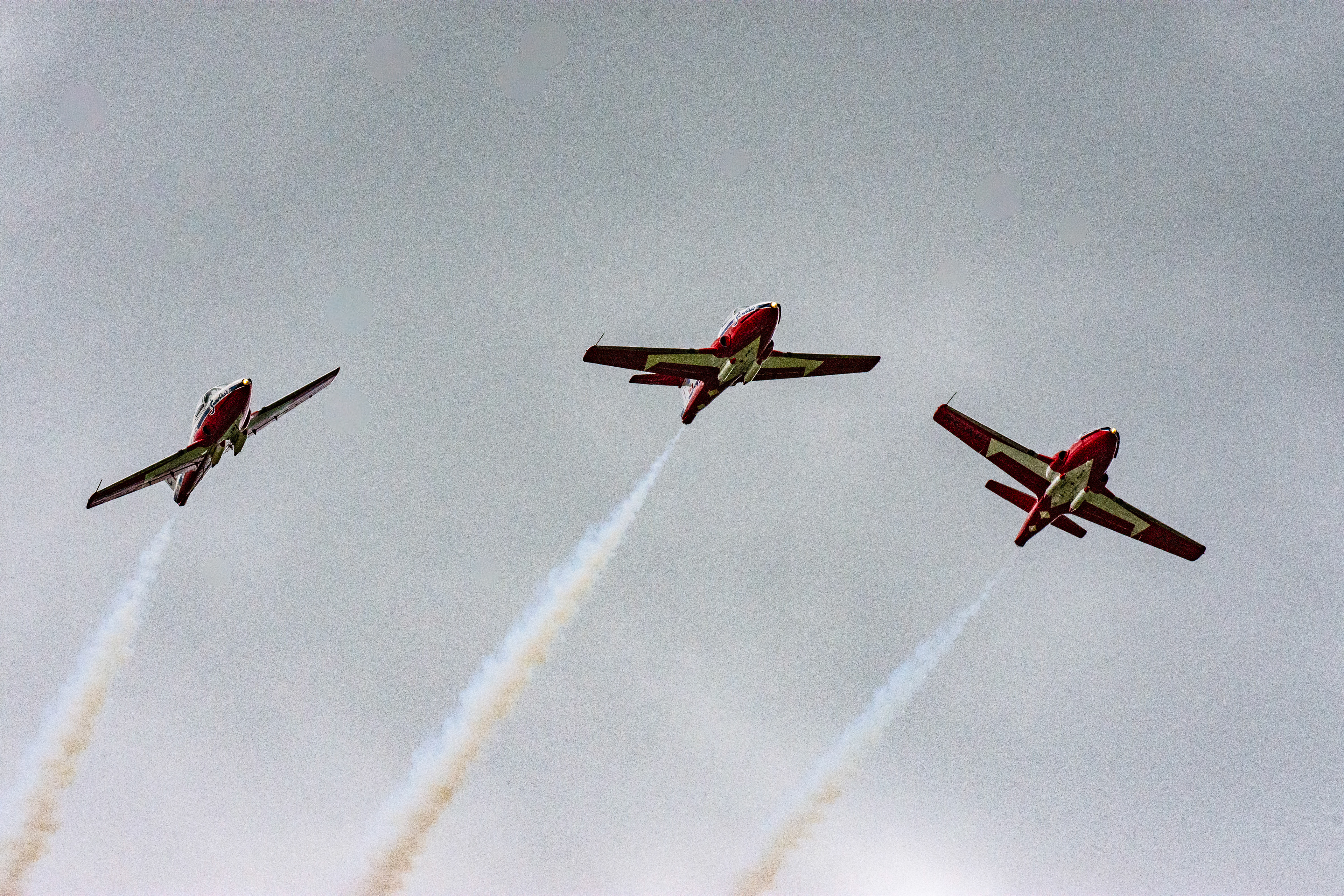 Snowbirds