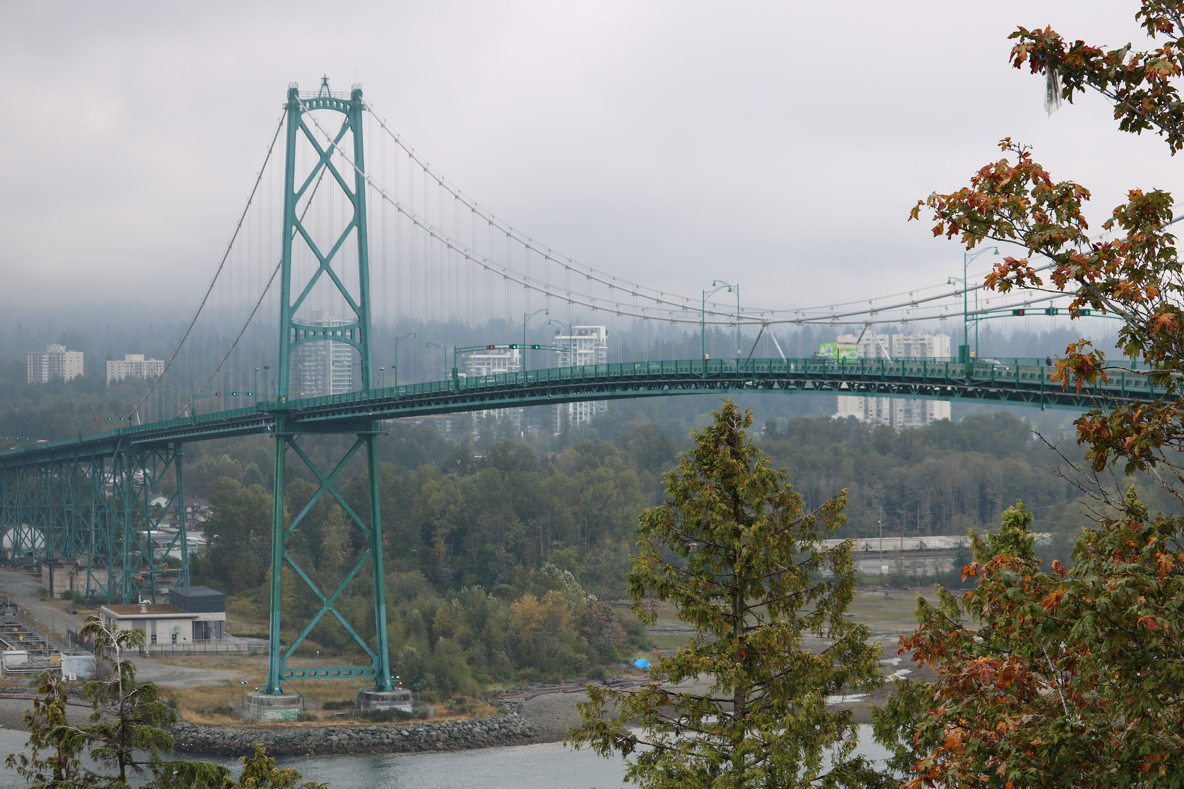 Bridge from Afar