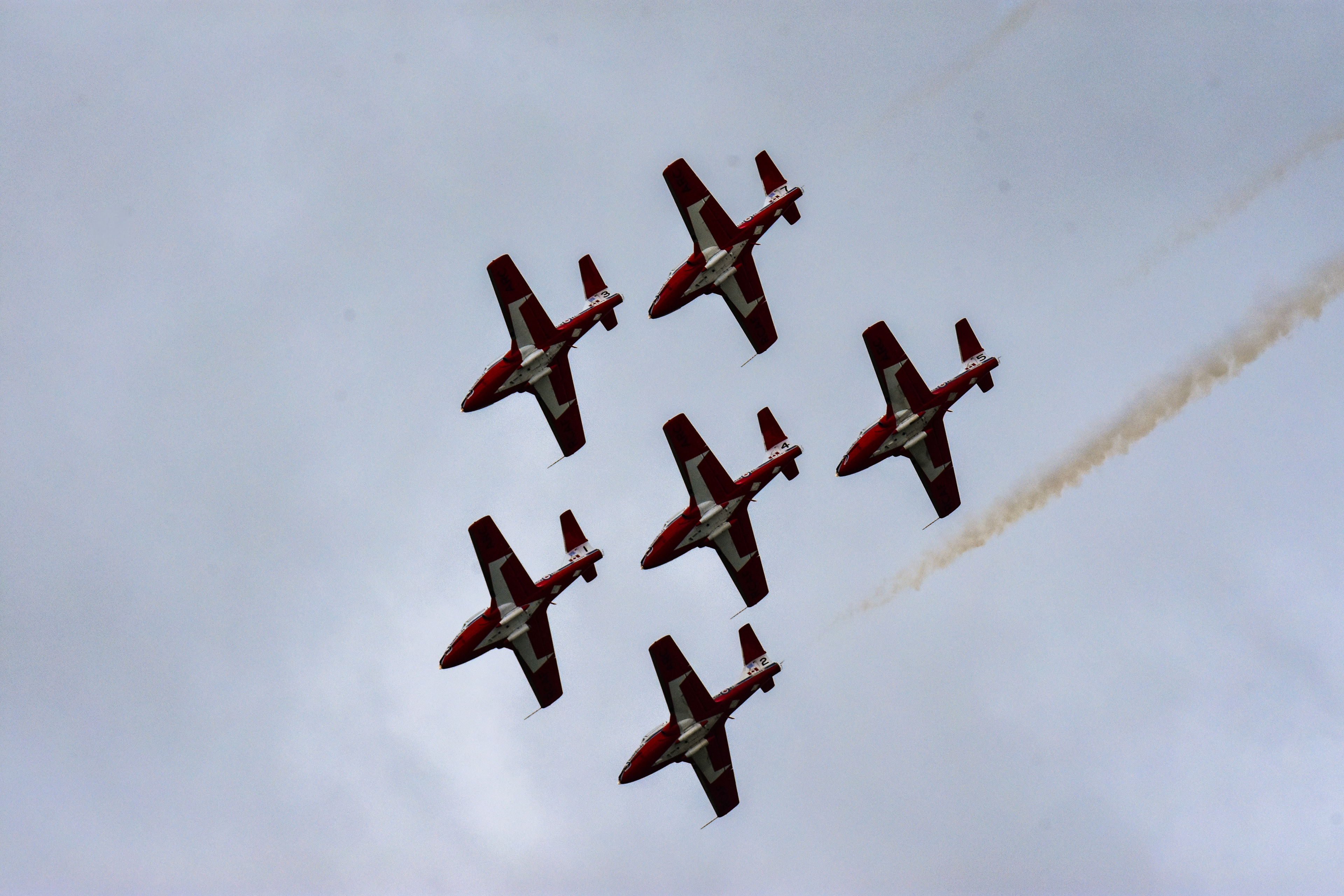 Snowbirds flying in formation