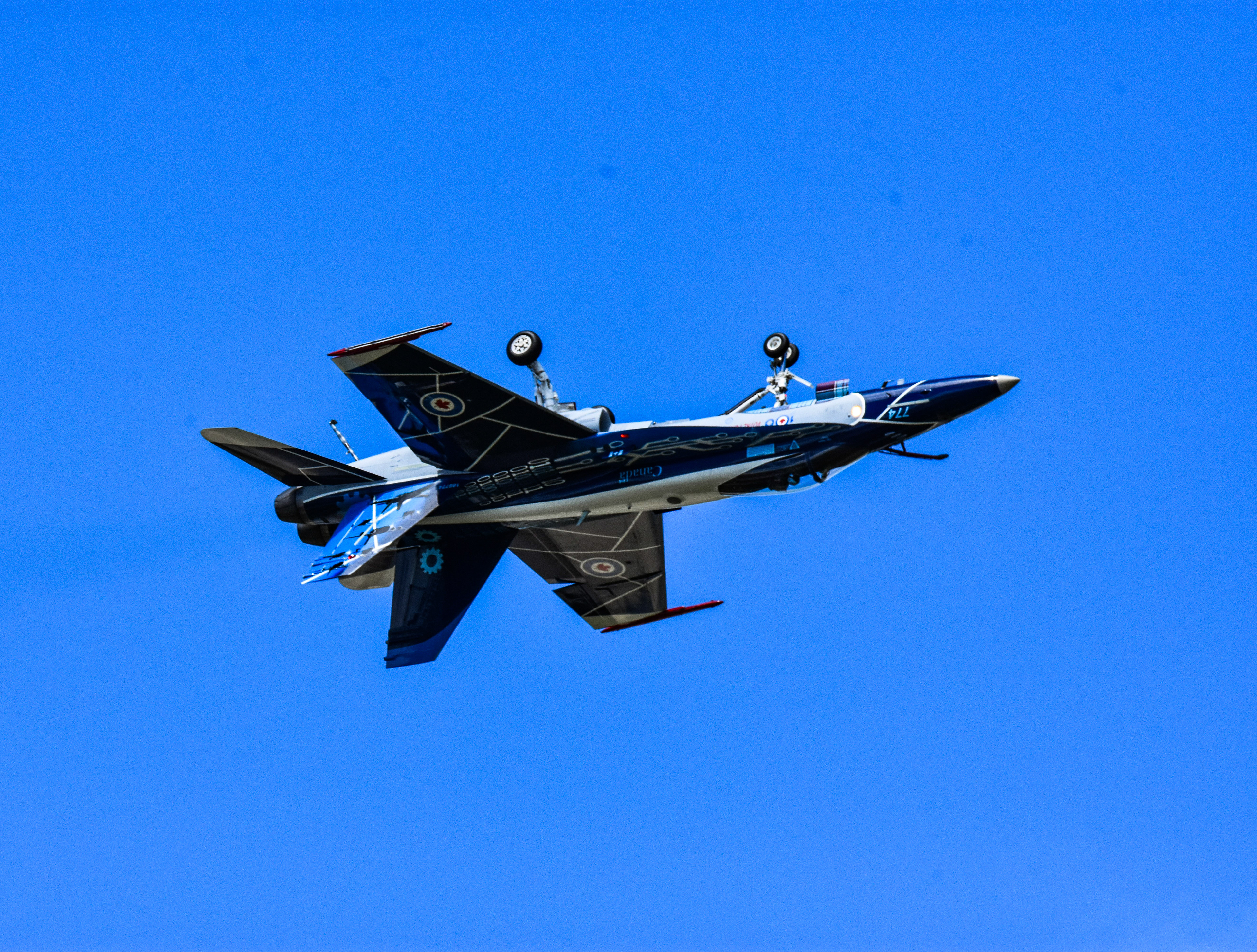 CAF 100th Anniversary Fighter