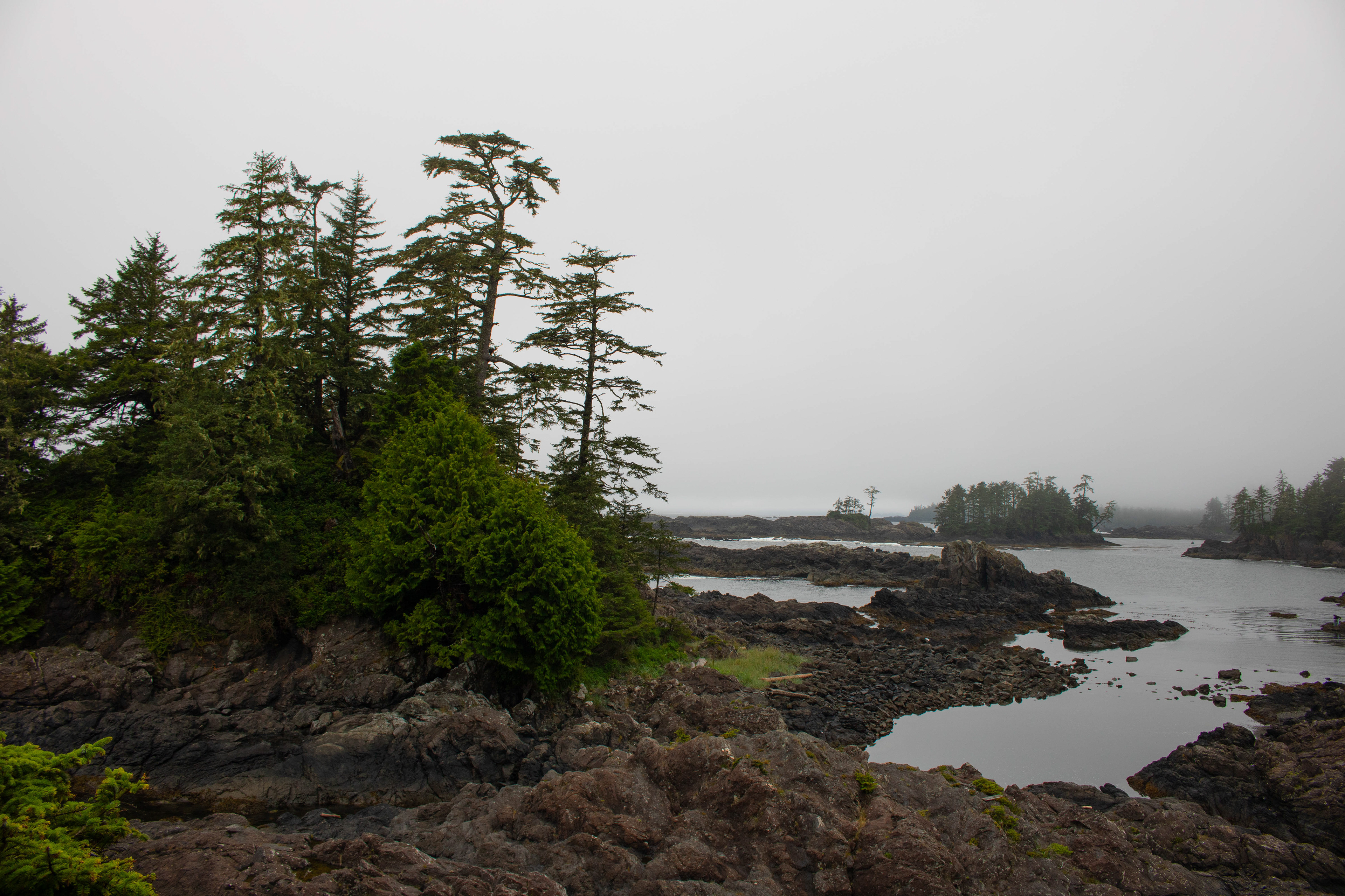 The Wet Pacific Coast