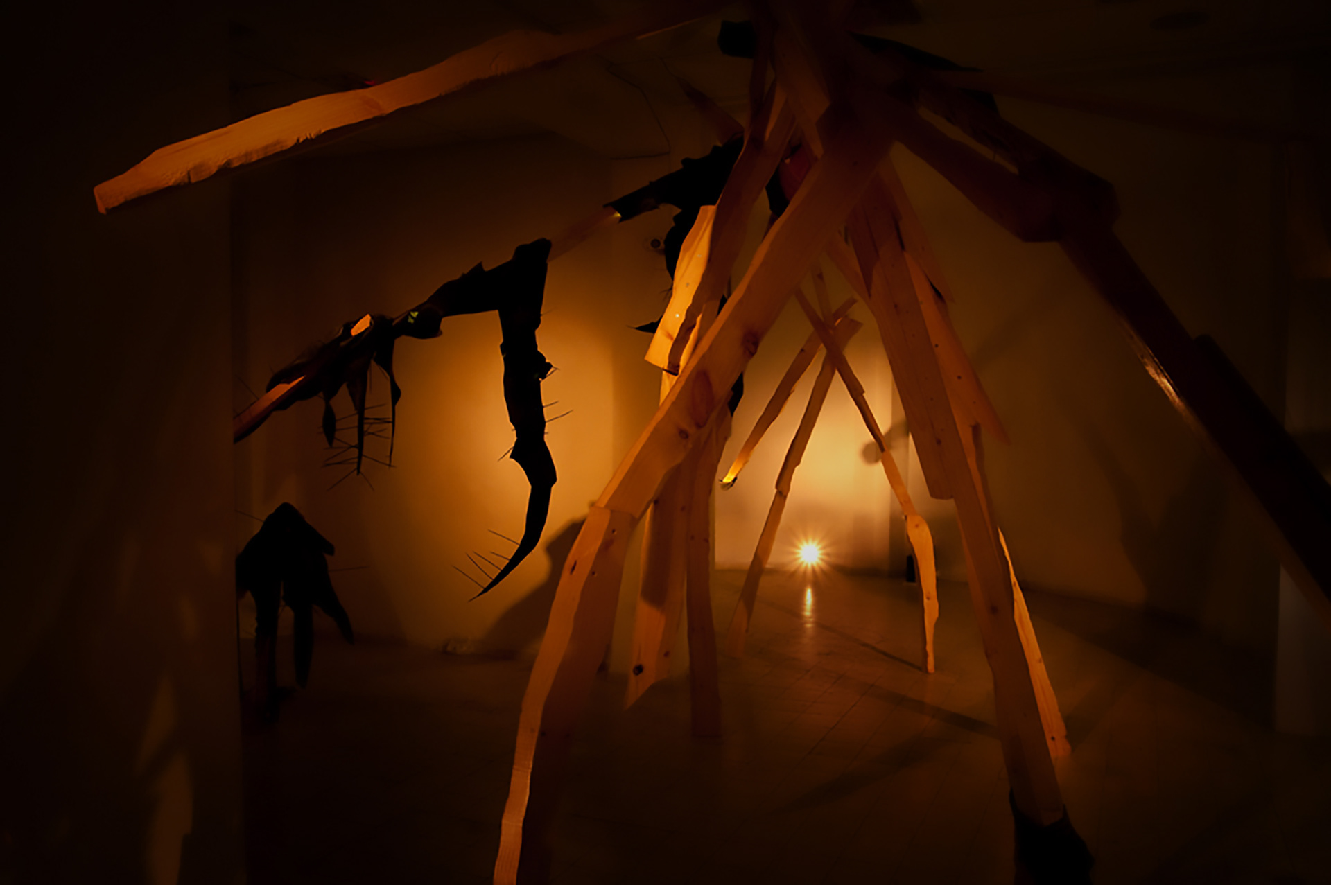 The Phoenix Project | Installation view | 2012 | wood, inner tube, cable tie, LED lights | varying sizes | Photography: Youval Hai