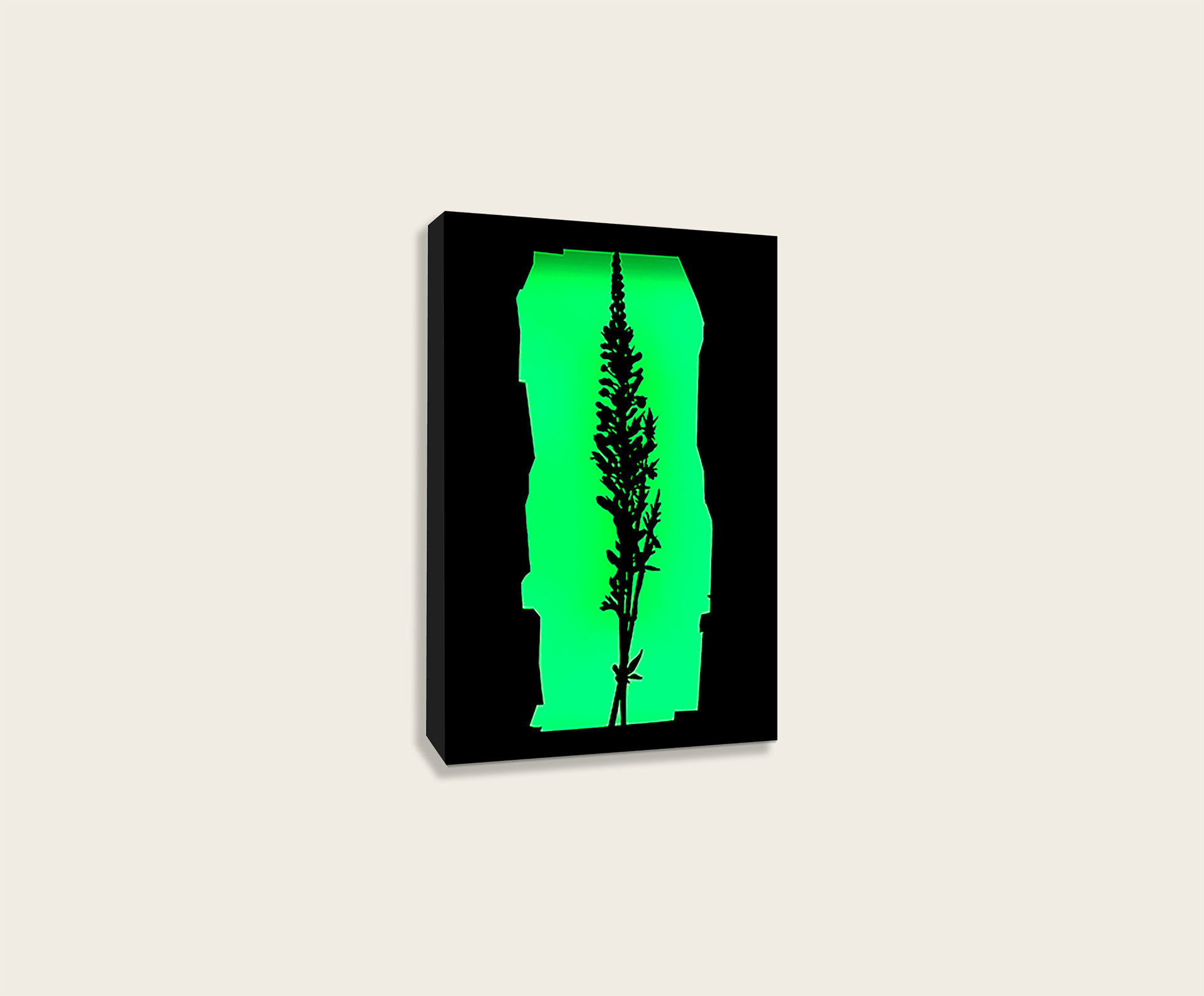 Squill No.01 | 2012 | cardboard, perspex, LED lights | 24x15 cm