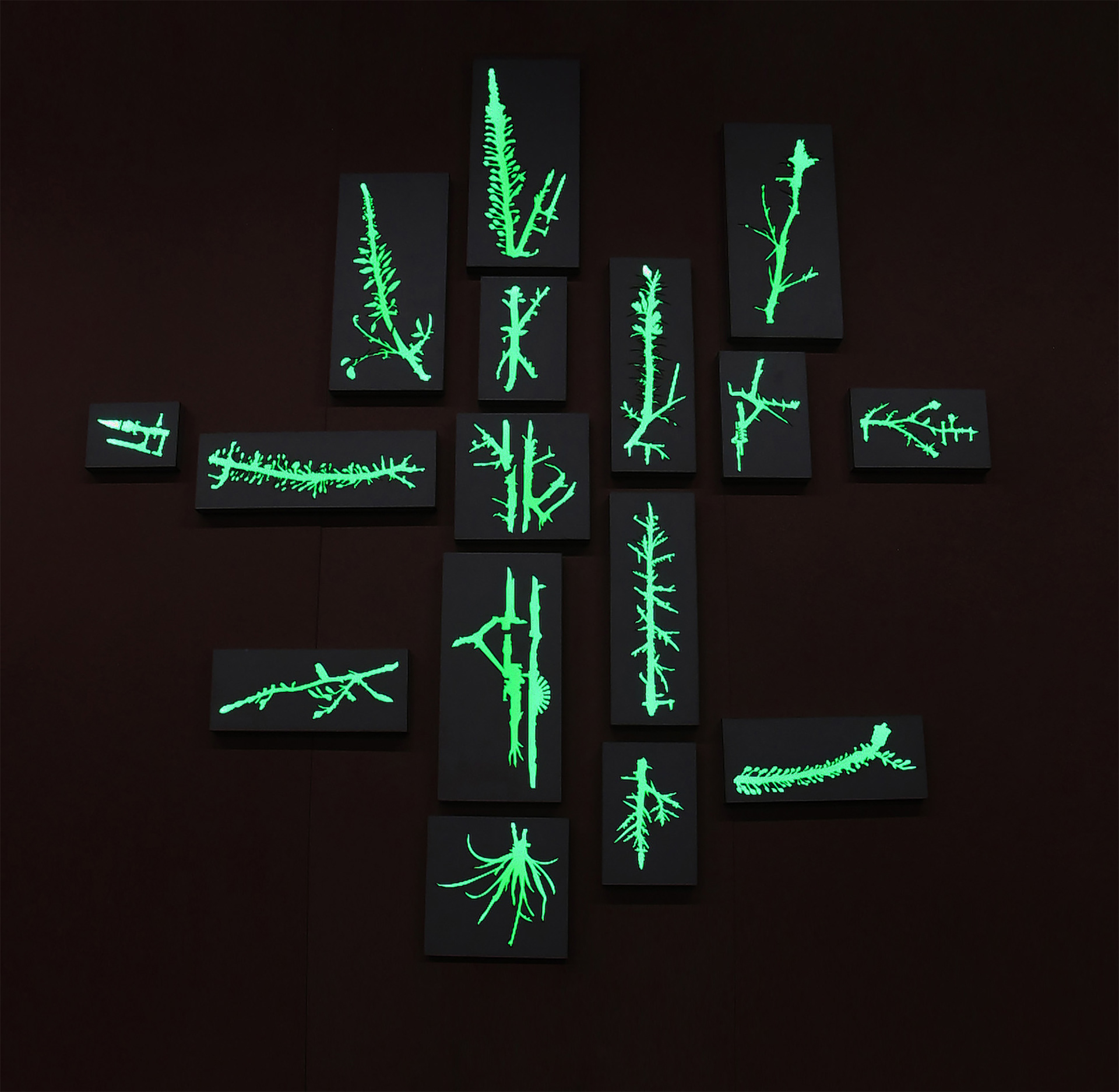 Growth | Installation view | Rathaus, Norderstedt, Germany | 2018 | Wood, Laser cutting, Paint, LED lights | 280x260 cm