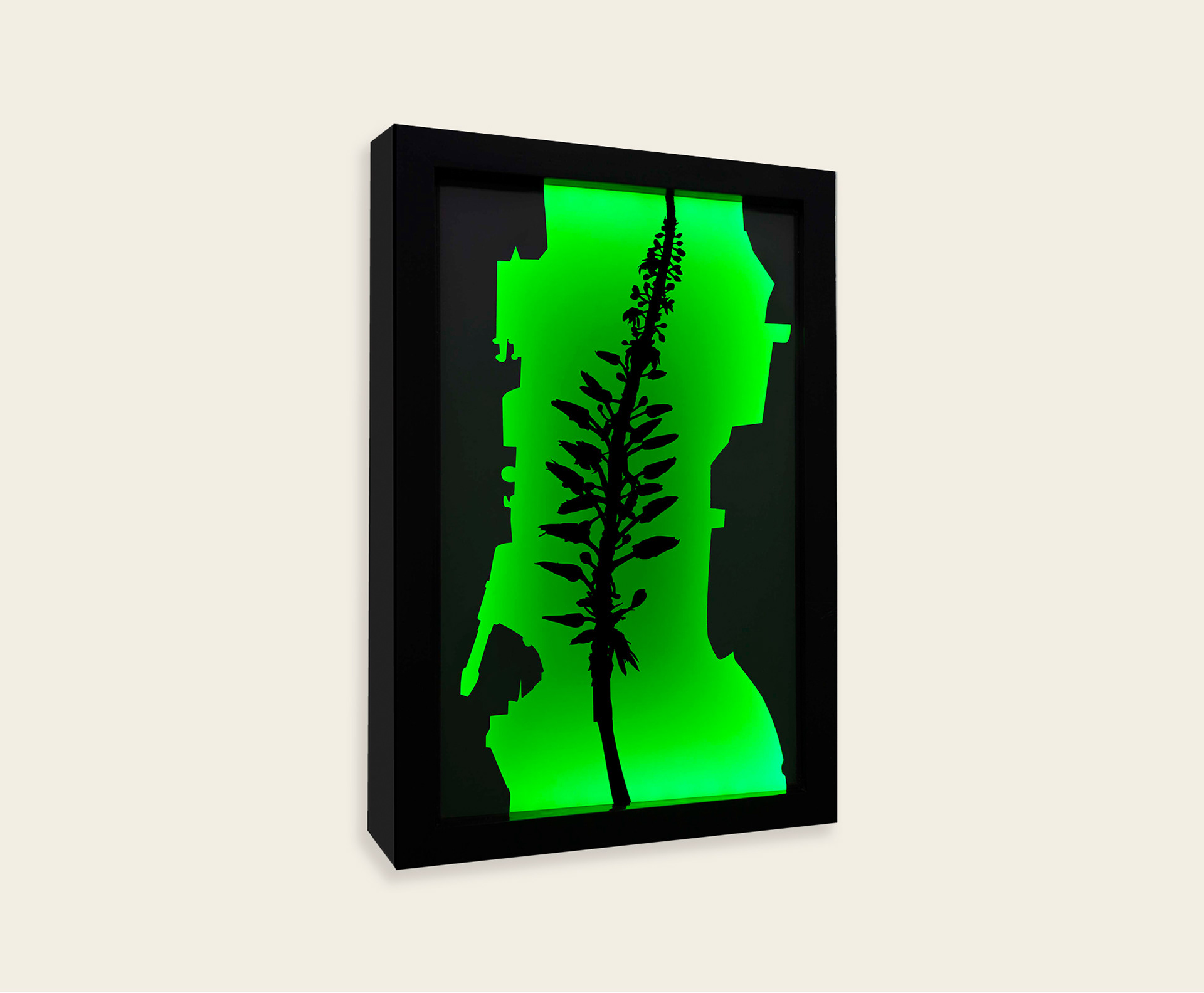 Squill No.00 | 2010 | cardboard, perspex, LED lights | 34x25 cm