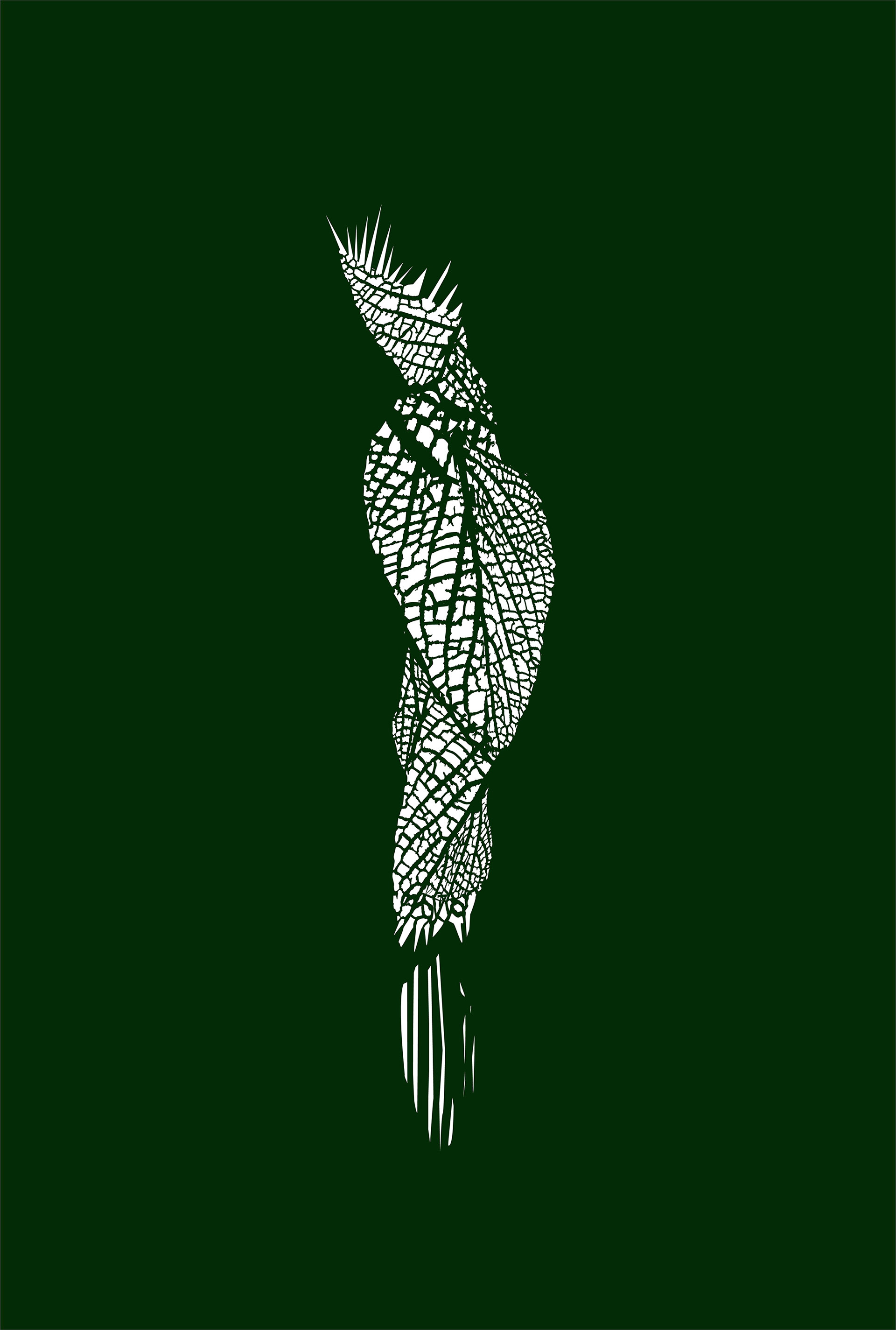 resonance | print on transparencies | 43x27 cm